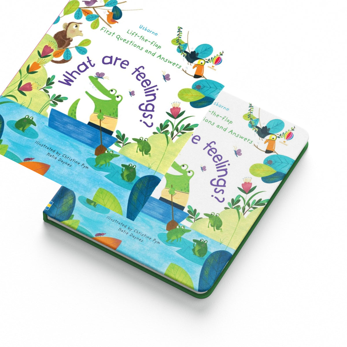 First Questions and Answers: What are Feelings?