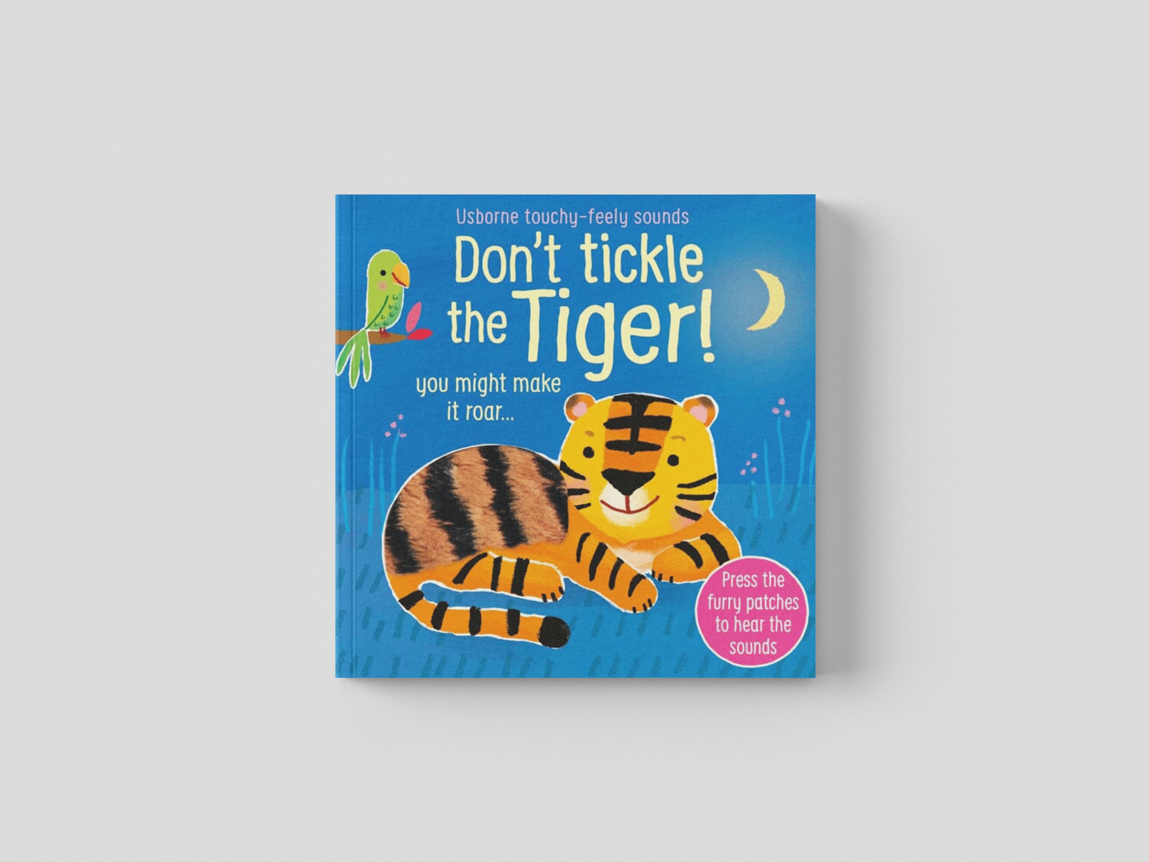 Don't Tickle the Tiger! by Sam Taplin; 9781474981026