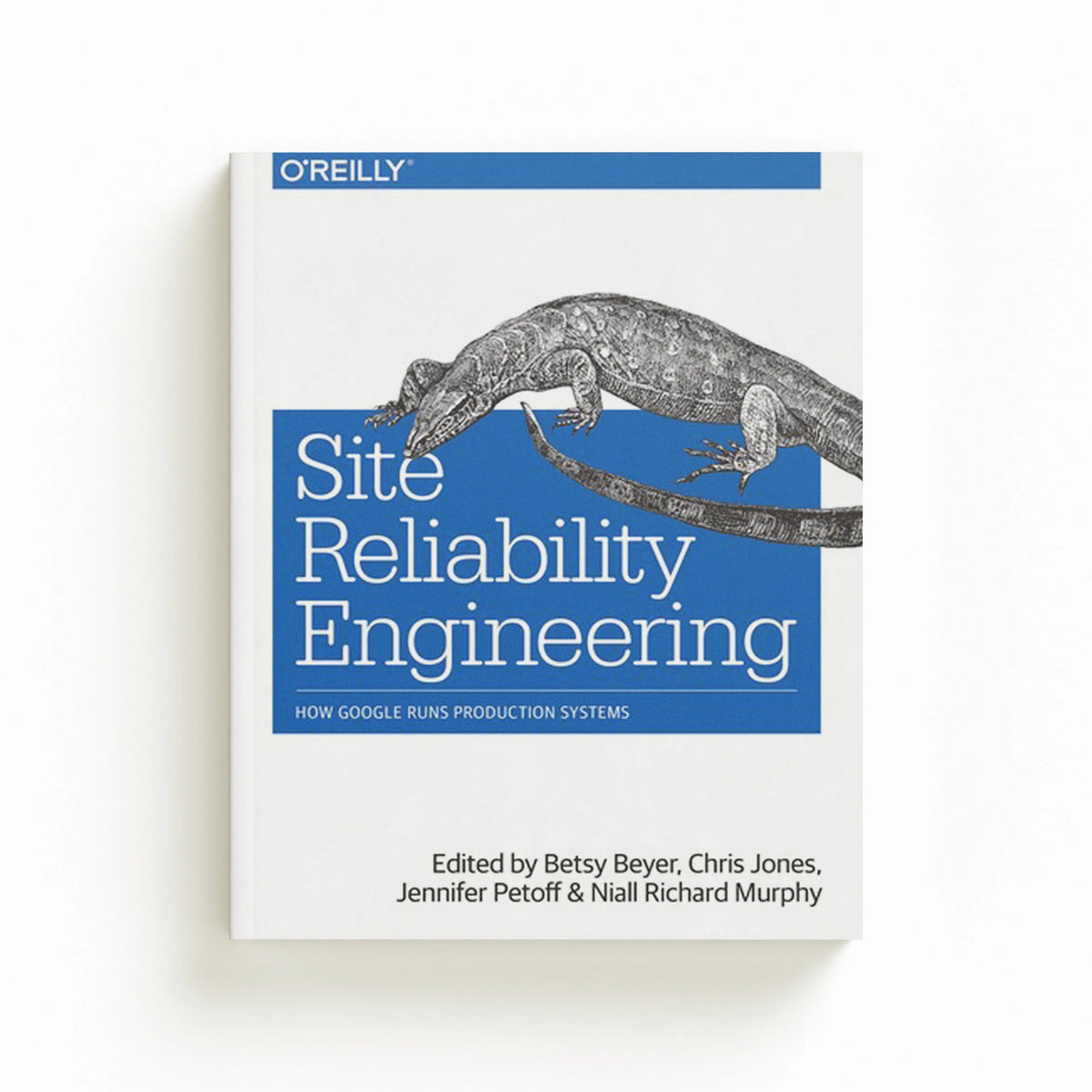 Site Reliability Engineering by Betsy Beyer; Niall Richard Murphy; Jennifer Petoff; Chris Jones; 9781491929124