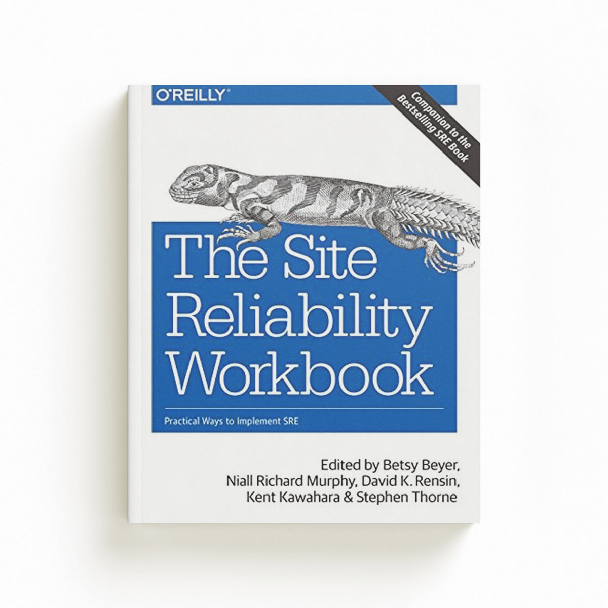 The Site Reliability Workbook by Betsy Beyer; Stephen Thorne; Niall Richard Murphy; Kent Kawahara; David Rensin; 9781492029502