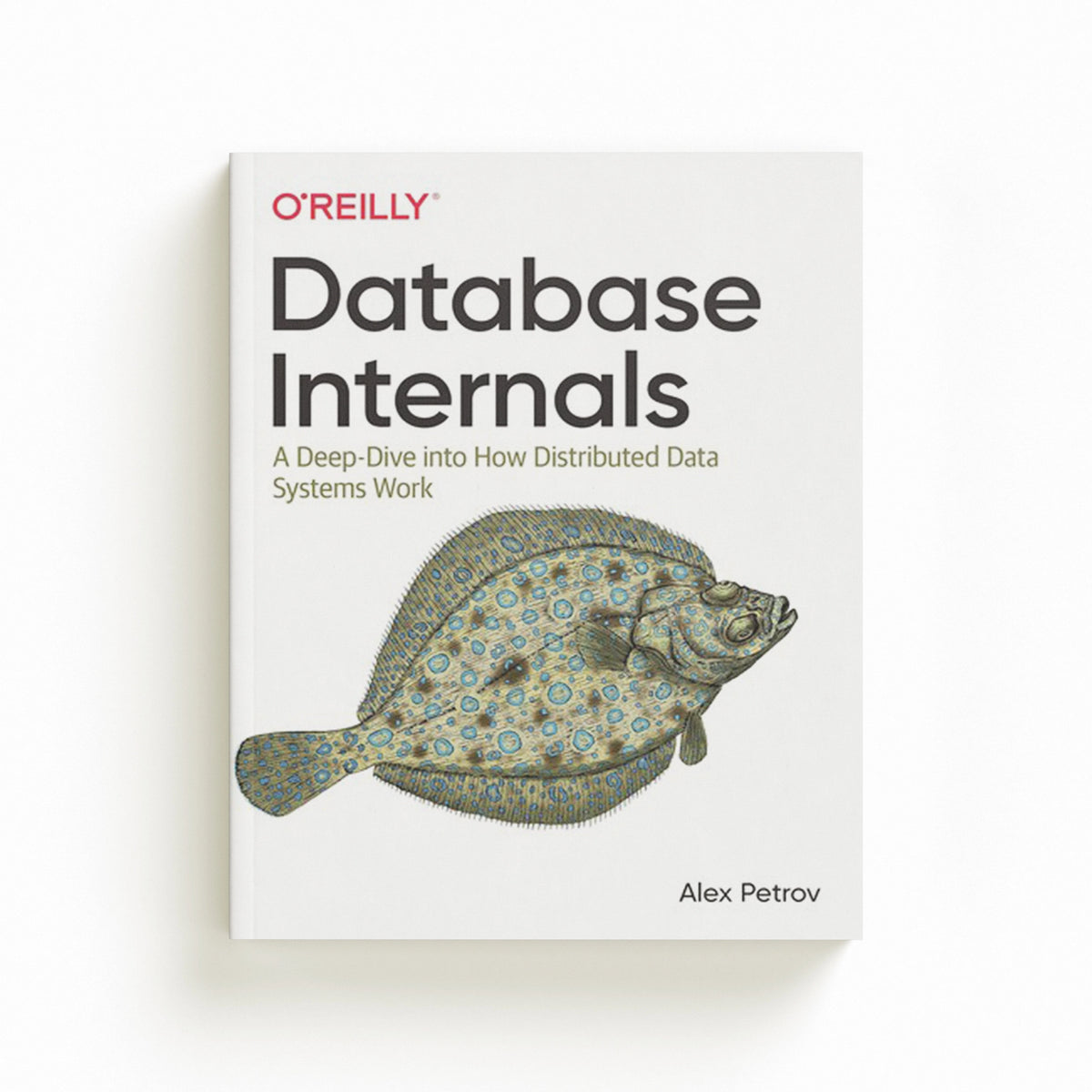 Database Internals by Alex Petrov; 9781492040347
