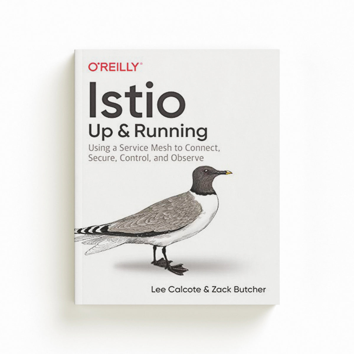 Istio: Up and Running by Lee Calcote; Zack Butcher; 9781492043782
