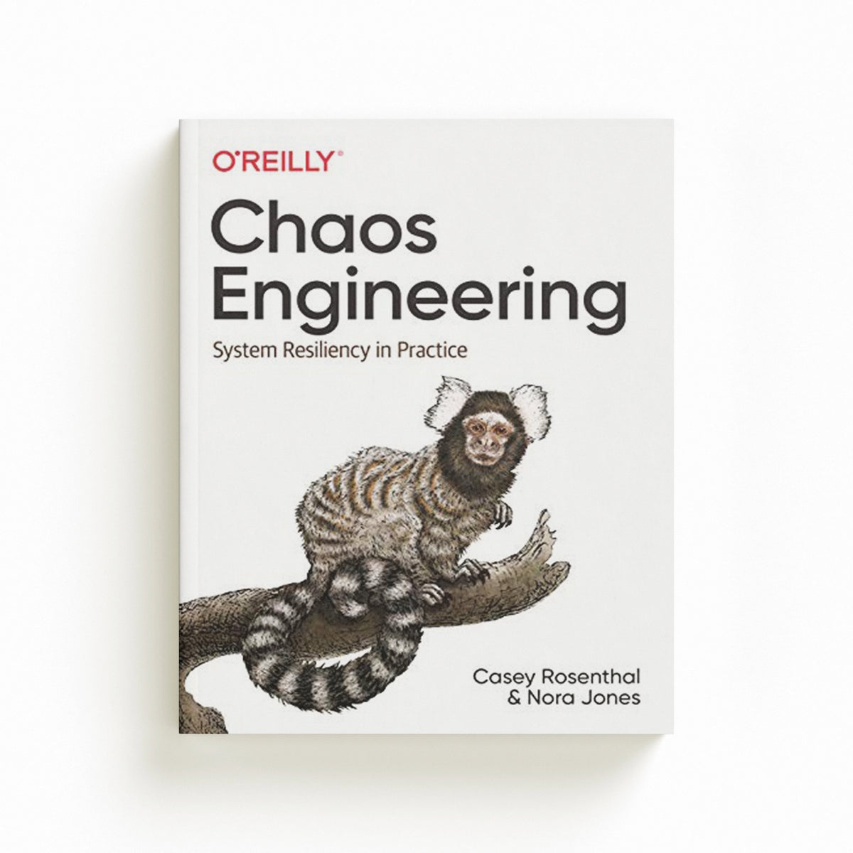 Chaos Engineering by Casey Rosenthal; Nora Jones; 9781492043867