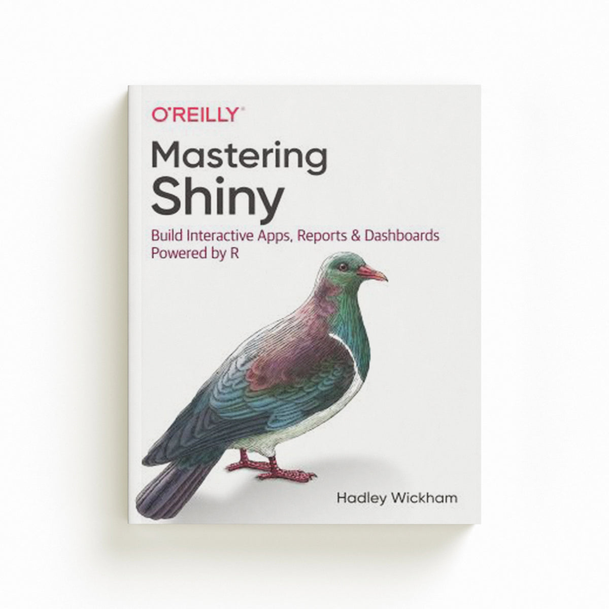Mastering Shiny by Hadley Wickham; 9781492047384