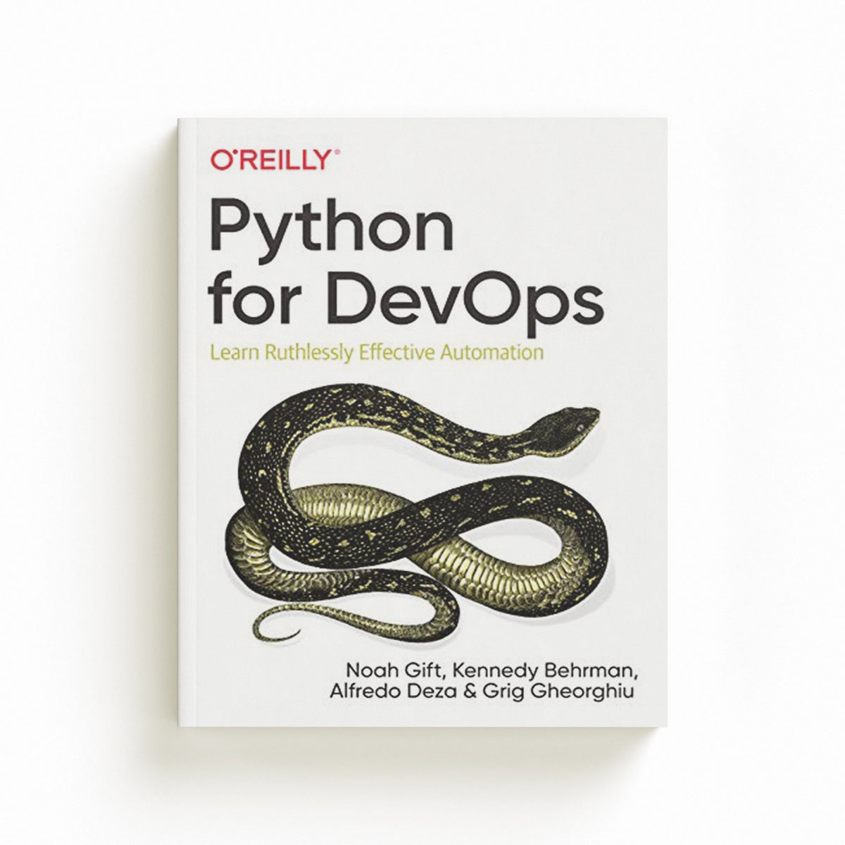 Python for DevOps by Alfredo Deza; Noah Gift; Kennedy Behrman; Grig Gherghiu; 9781492057697