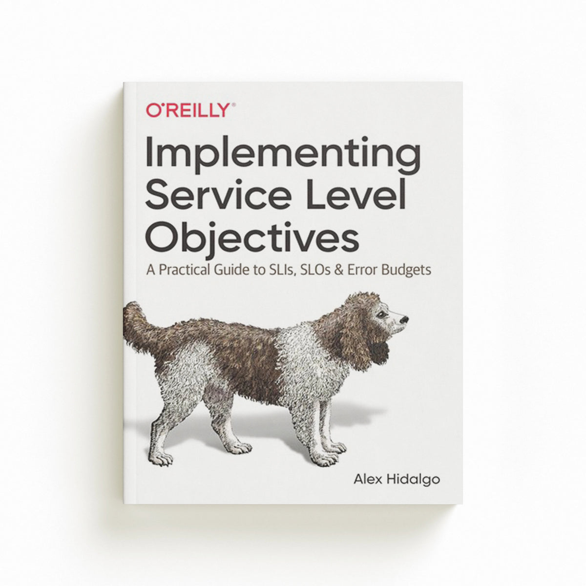 Implementing Service Level Objectives by Alex Hidalgo; 9781492076810