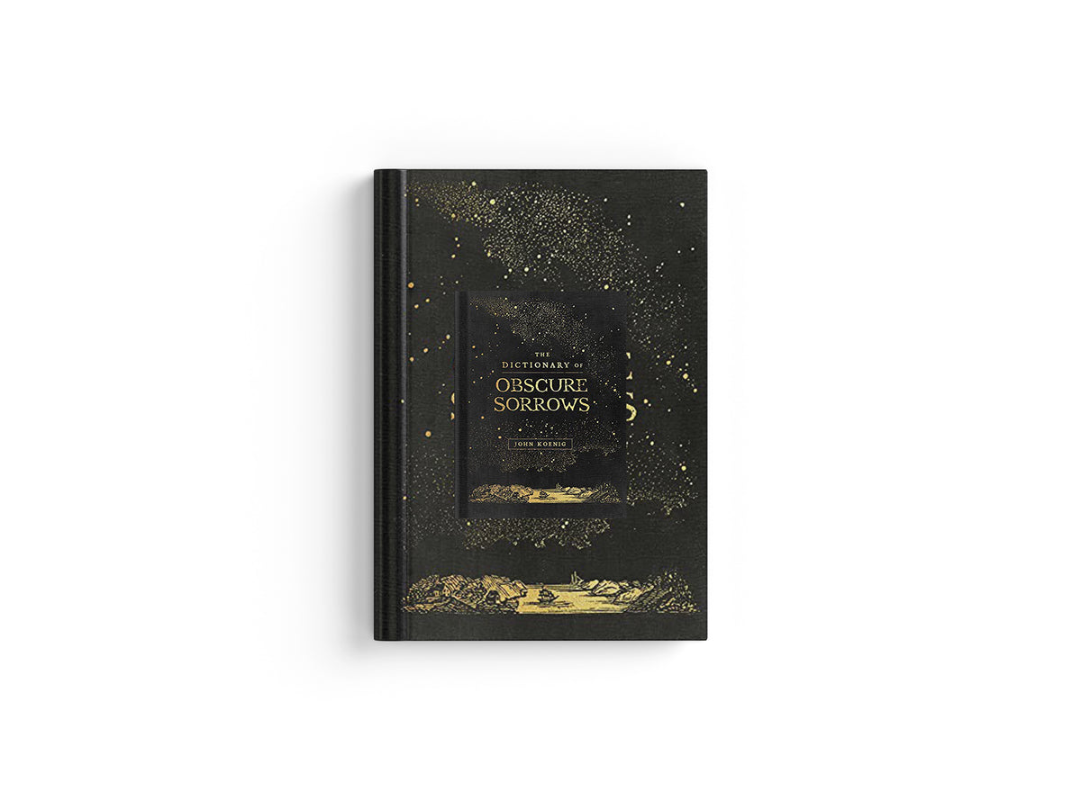 The Dictionary of Obscure Sorrows by John Koenig; 9781501153648