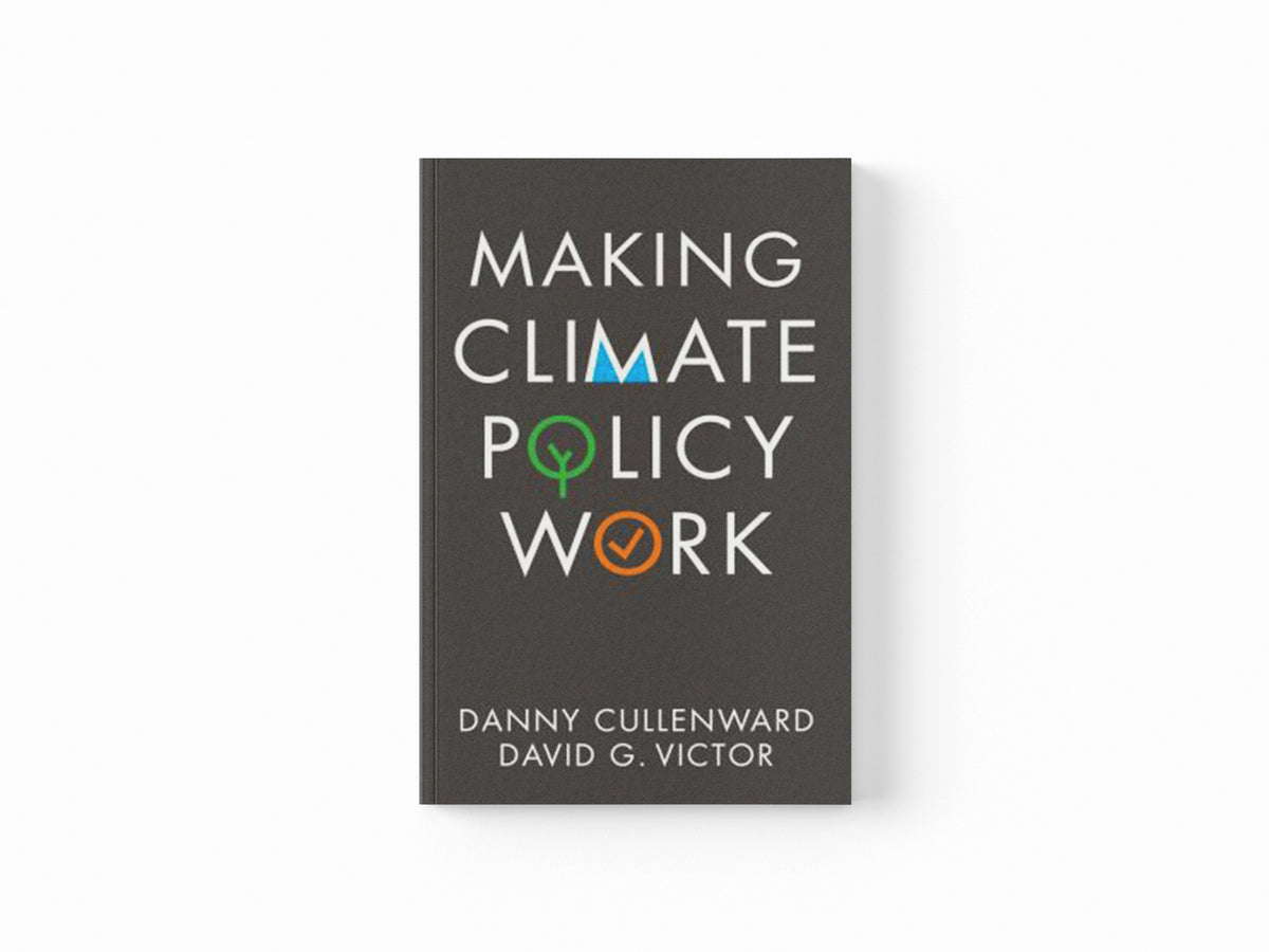 Making Climate Policy Work by Danny Cullenward; David G. Victor; 9781509541805