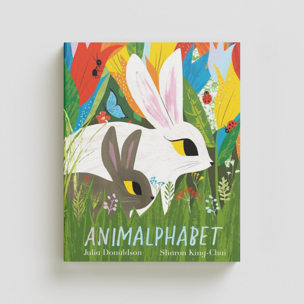 Animalphabet by Julia Donaldson; 9781509801640