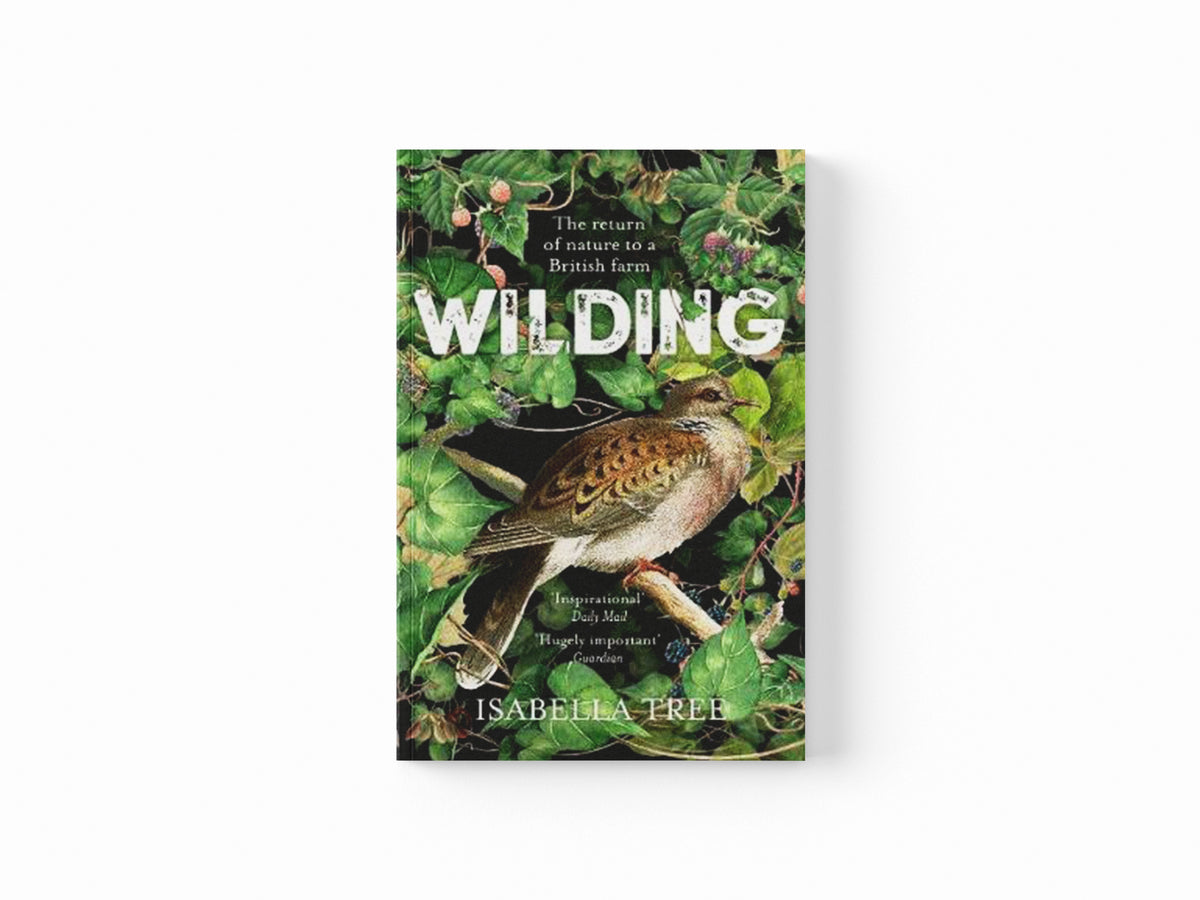 Wilding by Isabella Tree; 9781509805105
