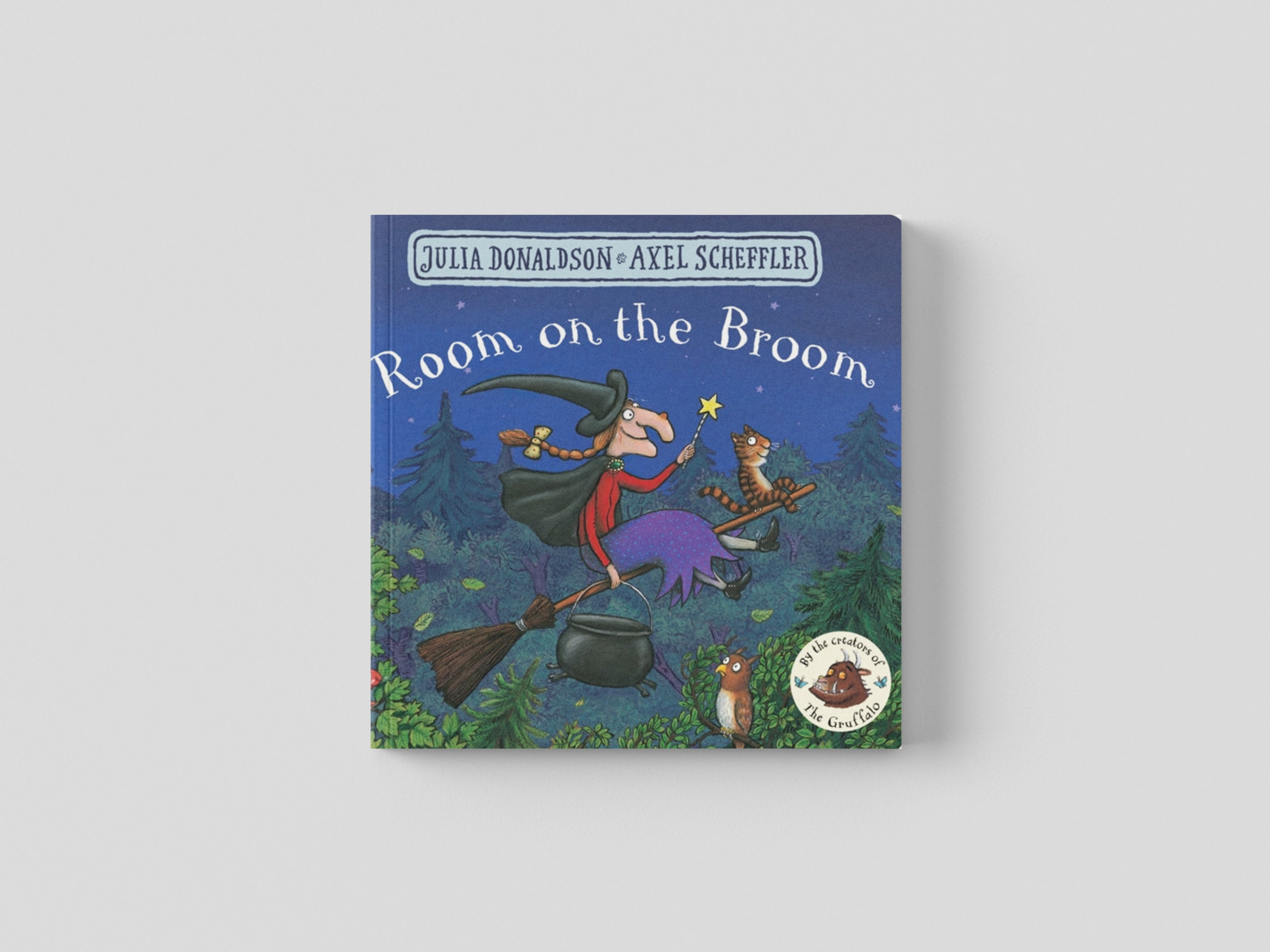 Room on the Broom by Julia Donaldson; 9781509830435