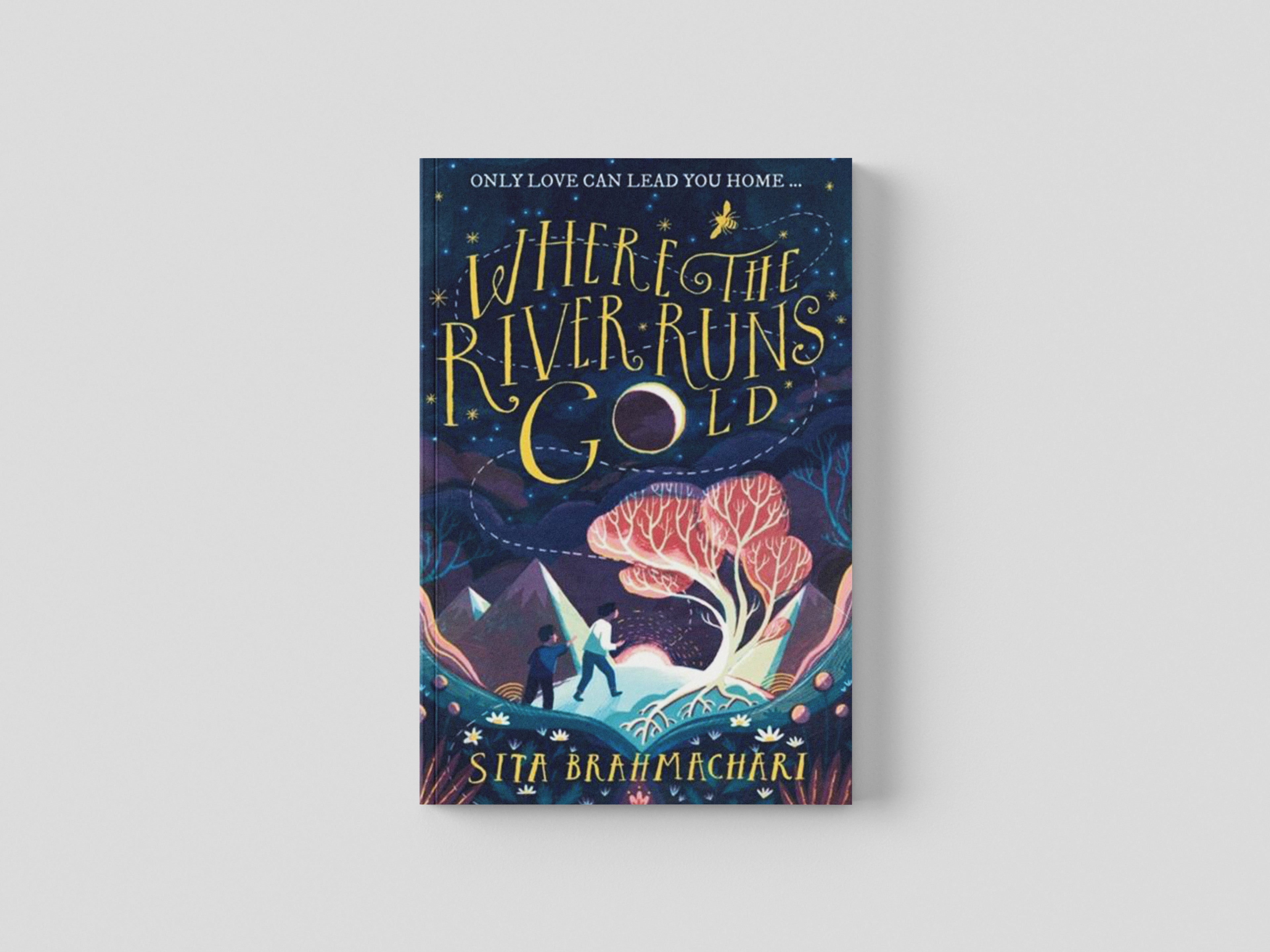 Where the River Runs Gold by Hachette Children's Group; 9781510105416