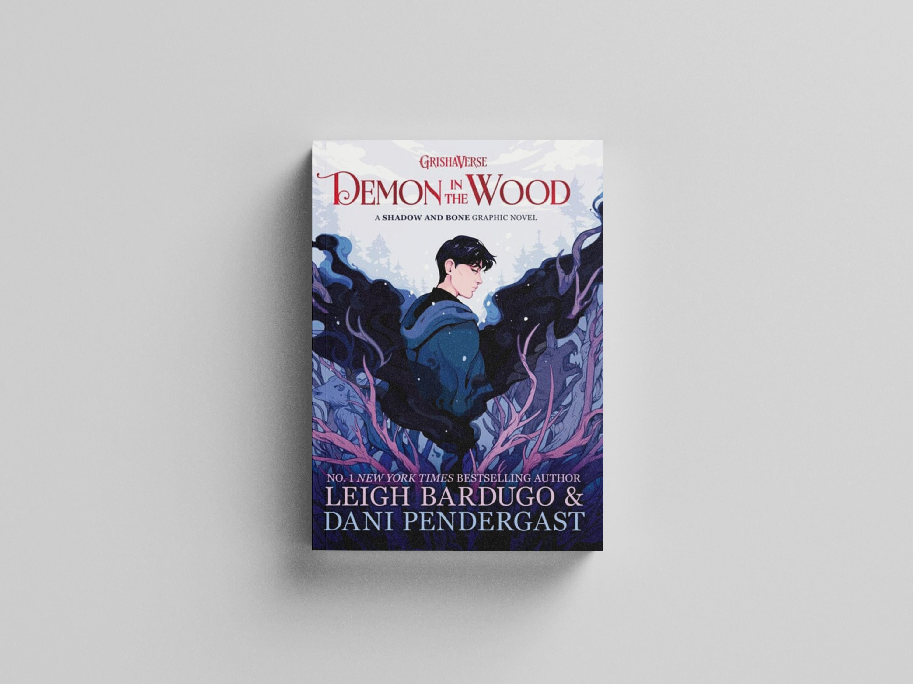 Demon in the Wood by Leigh Bardugo; 9781510111141