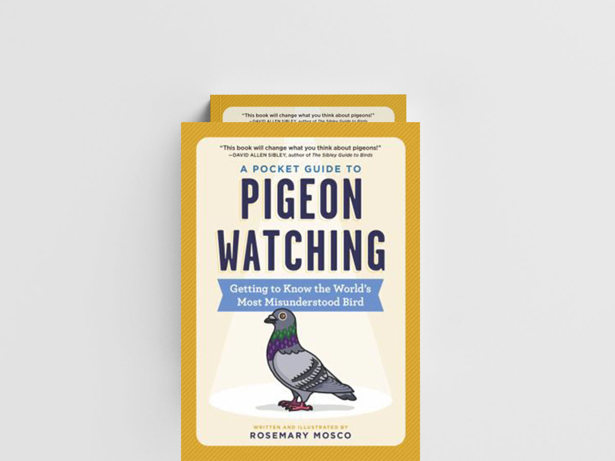 A Pocket Guide to Pigeon Watching by Rosemary Mosco; 9781523511341