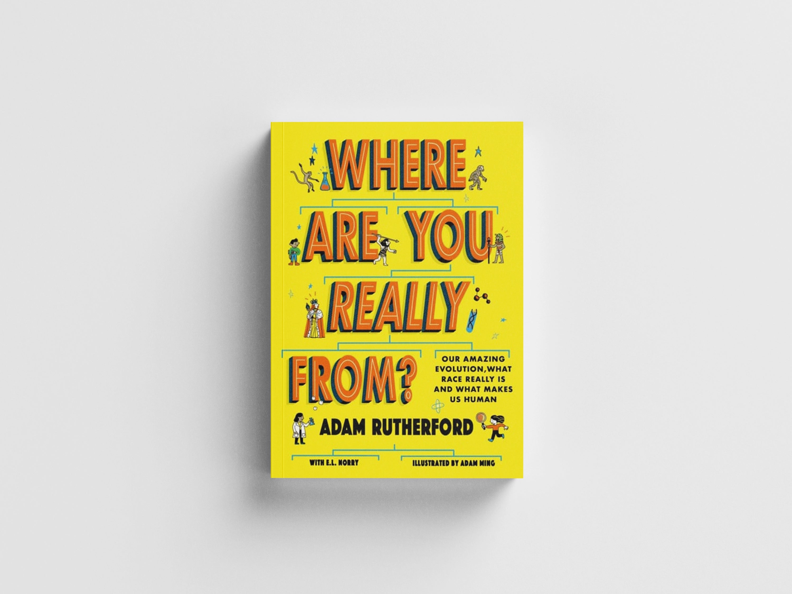 Where Are You Really From? Paperback / softback