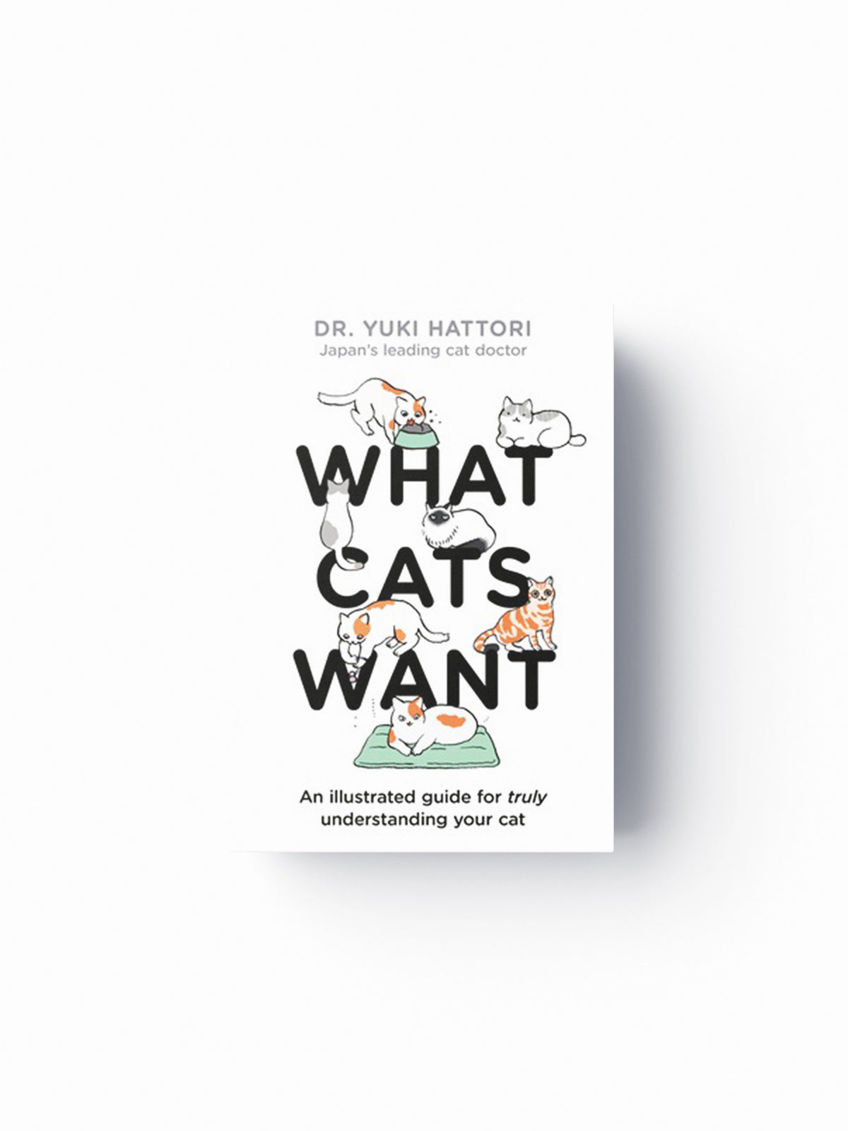 What Cats Want by Yuki Hattori; 9781526623065