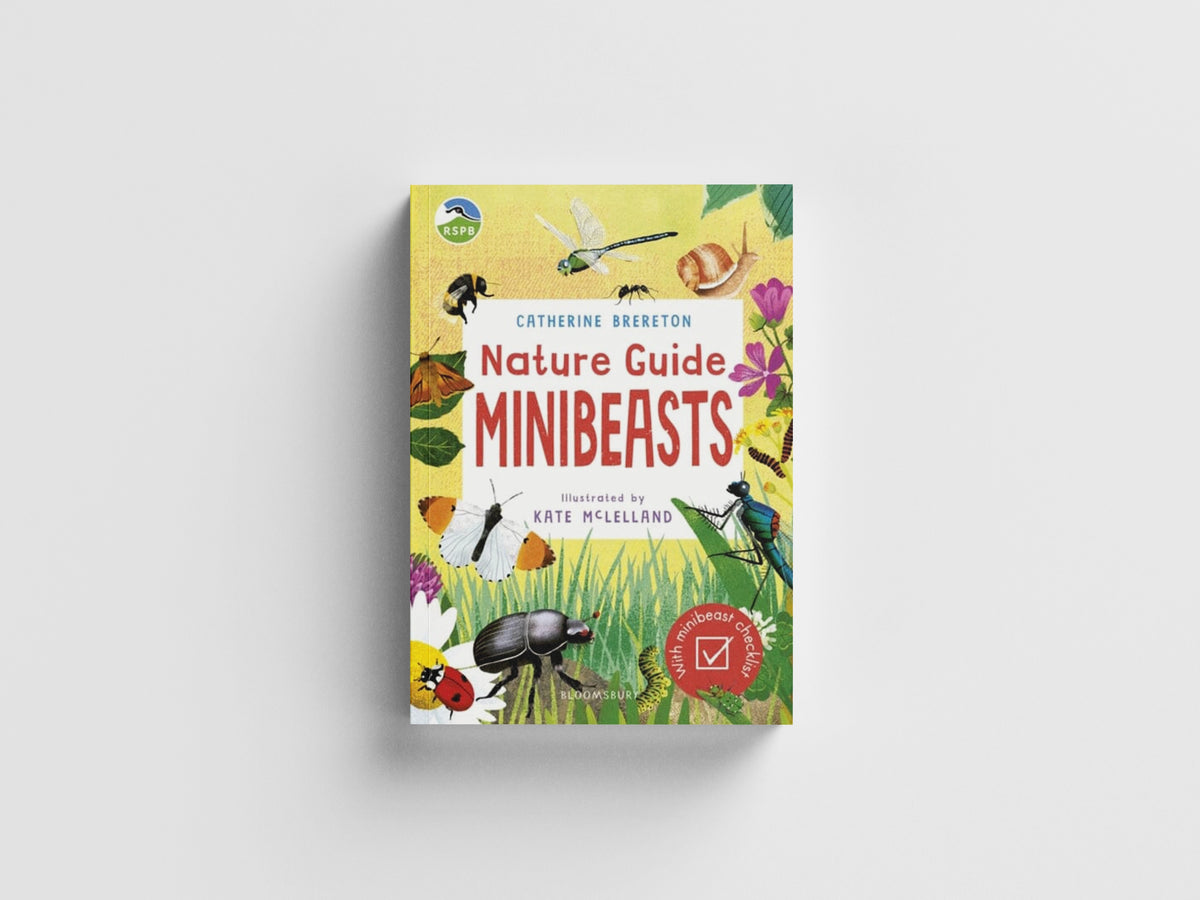 RSPB Nature Guide: Minibeasts