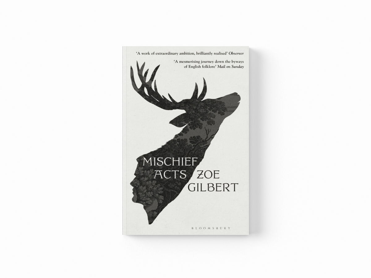 Mischief Acts Paperback / softback