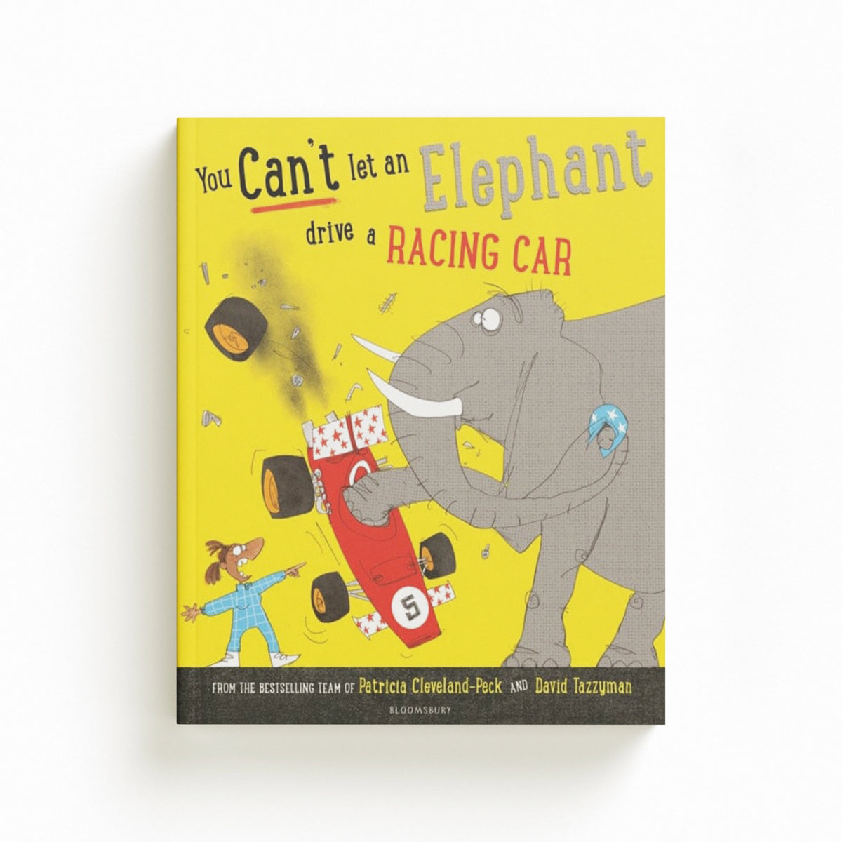 You Can't Let an Elephant Drive a Racing Car