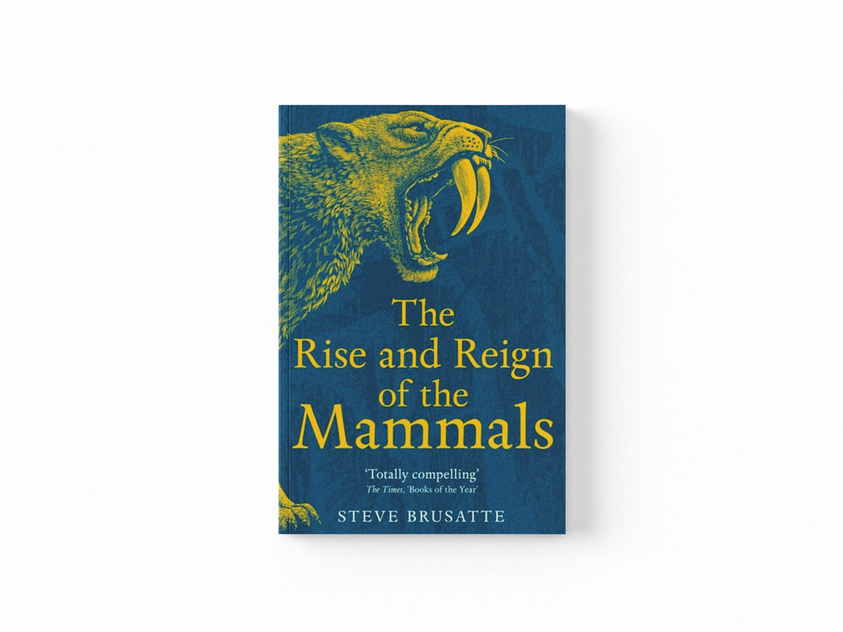 The Rise and Reign of the Mammals Paperback / softback