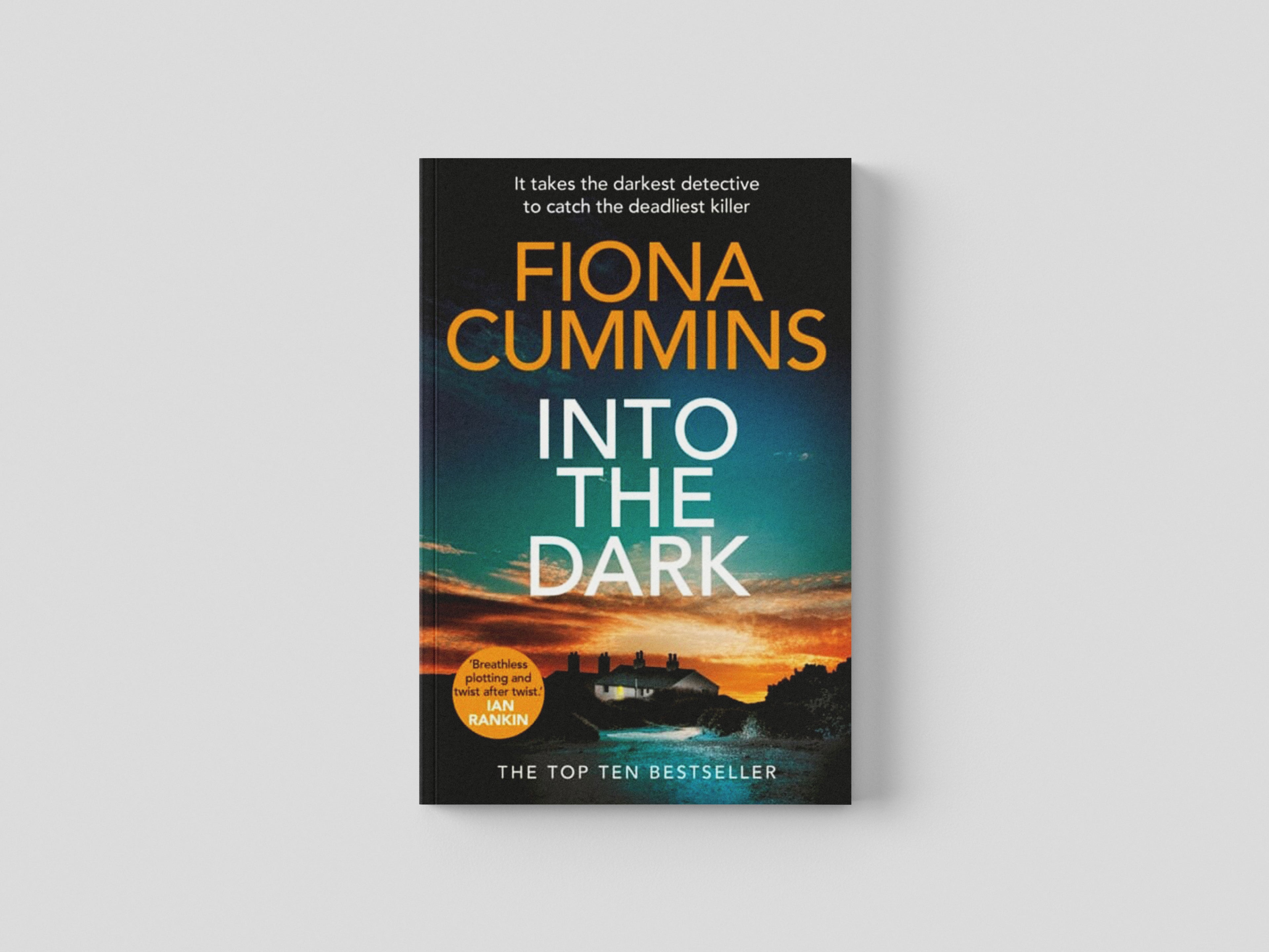 Into the Dark by Pan Macmillan; 9781529040173