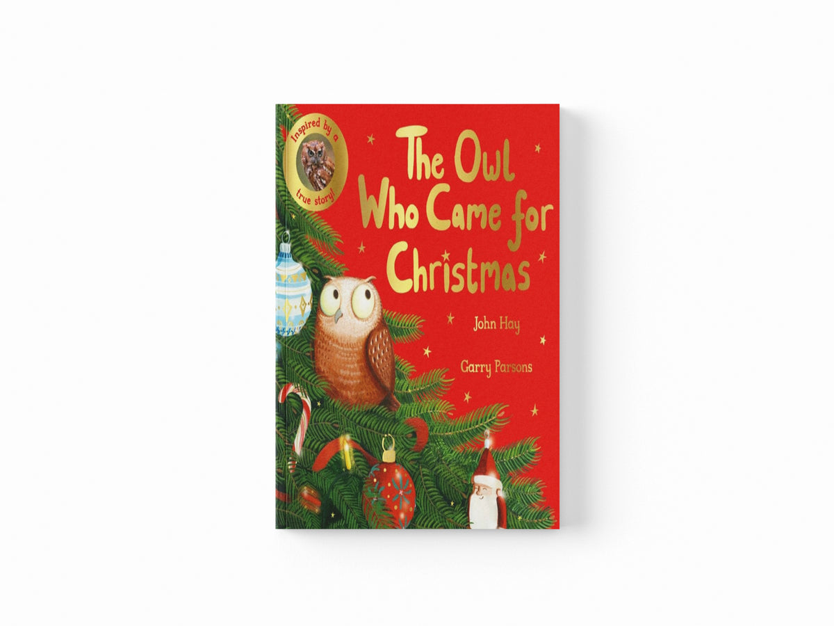 The Owl Who Came for Christmas