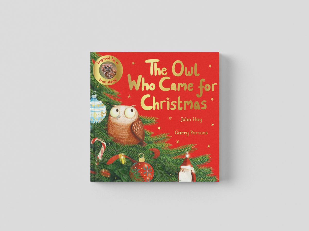 The Owl Who Came for Christmas by Pan Macmillan; 9781529070507