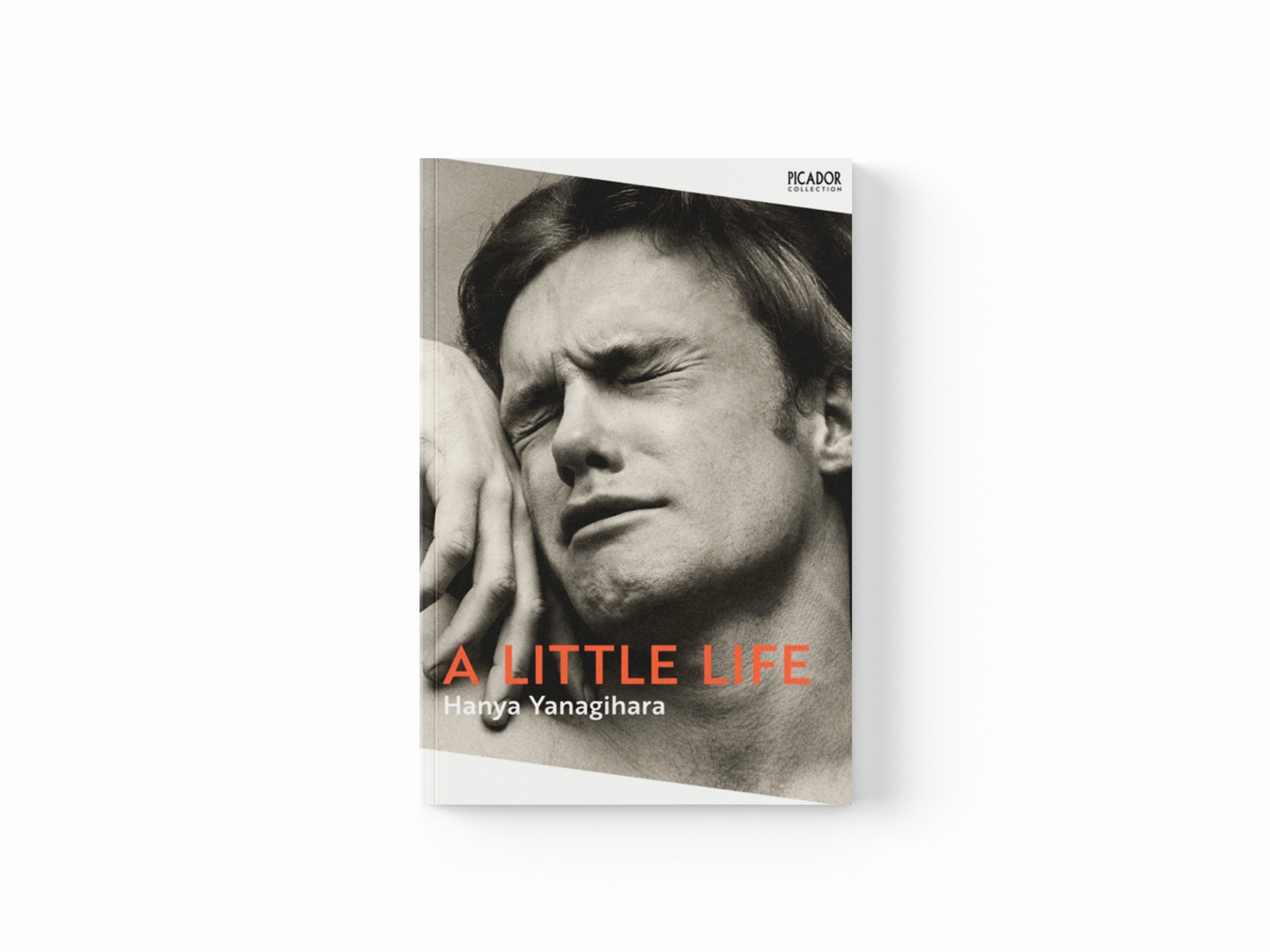 A Little Life by Hanya Yanagihara; 9781529077216