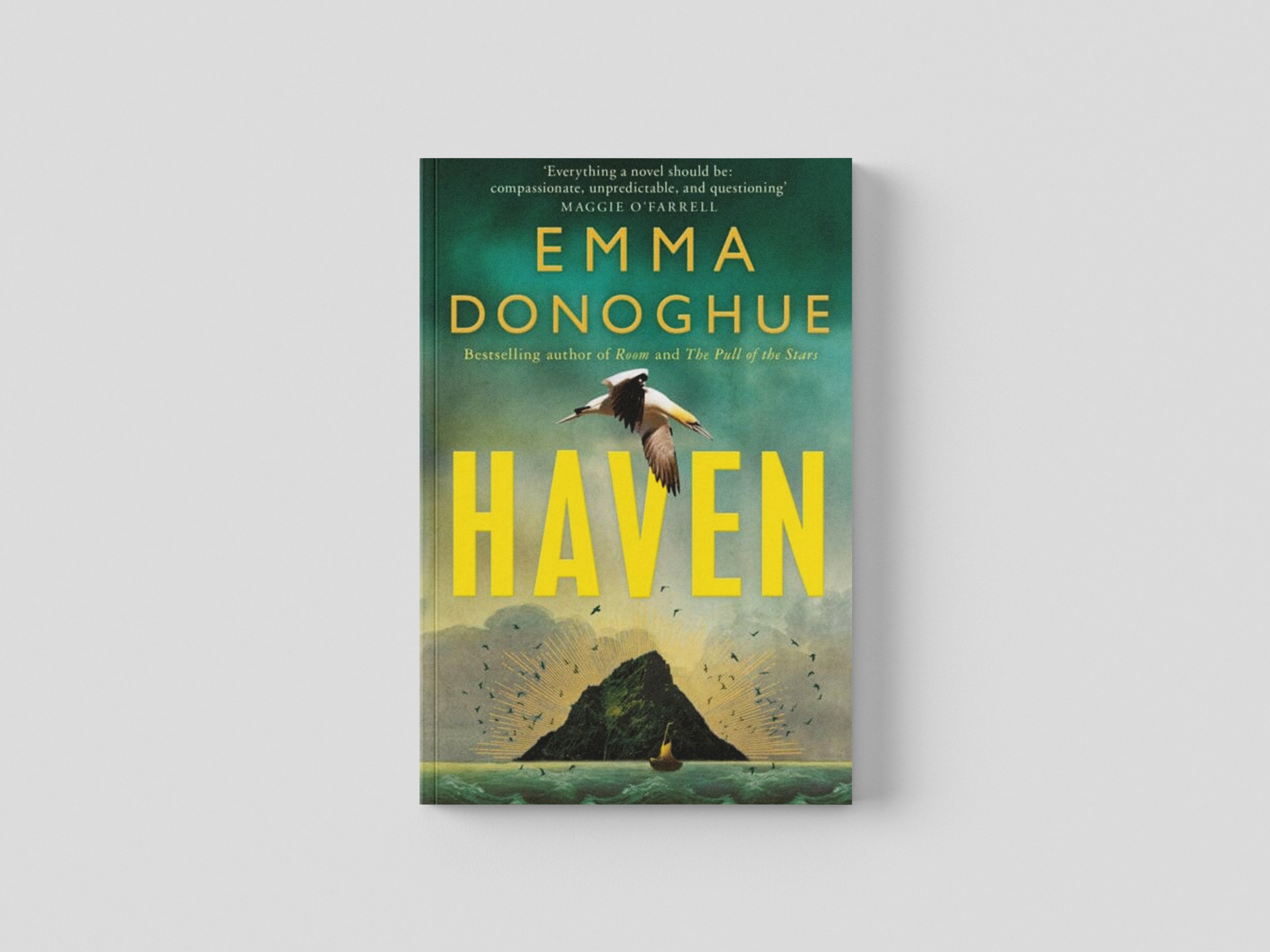 Haven by Pan Macmillan; 9781529091168