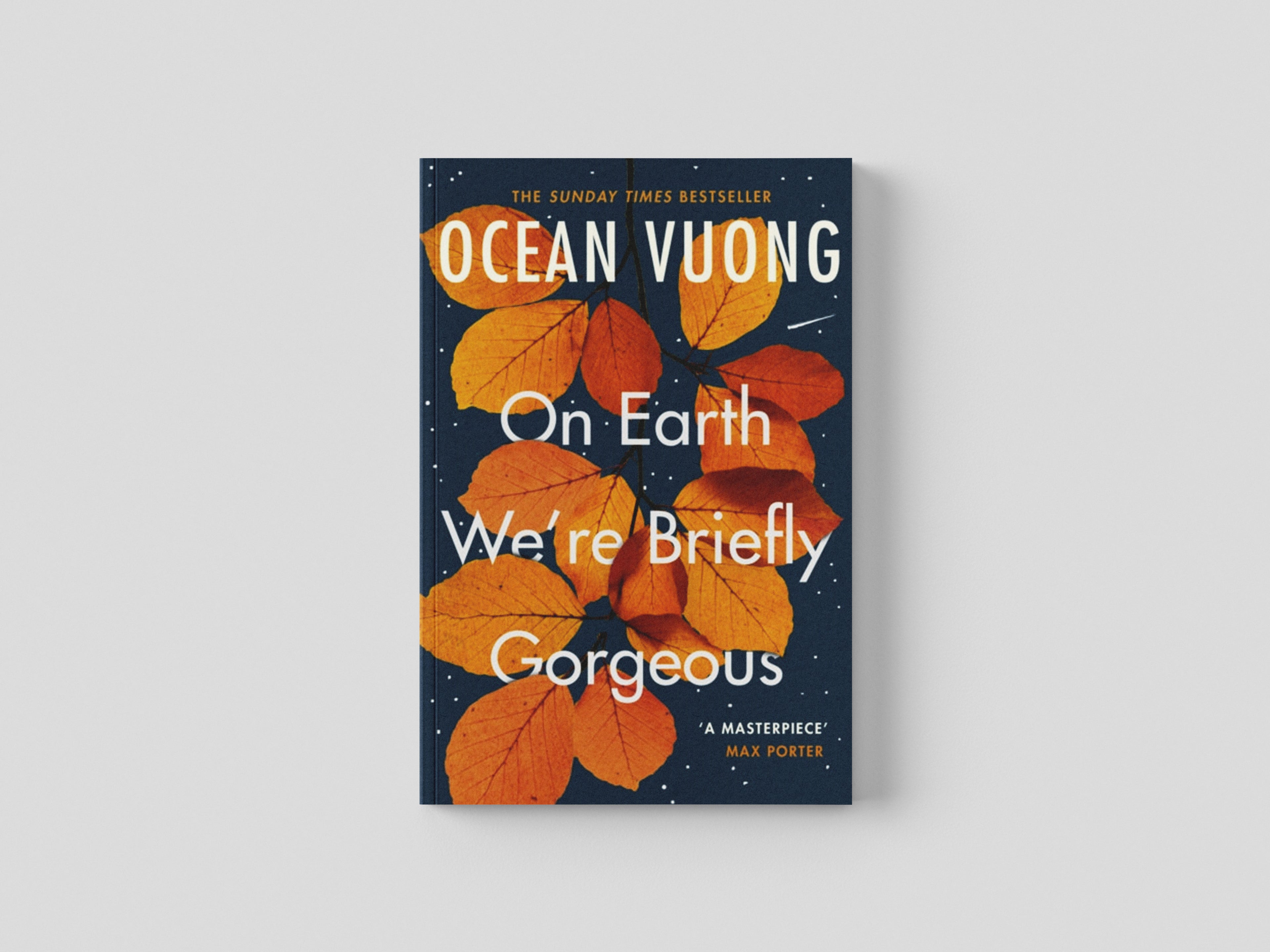 On Earth We're Briefly Gorgeous by Ocean Vuong; 9781529110685