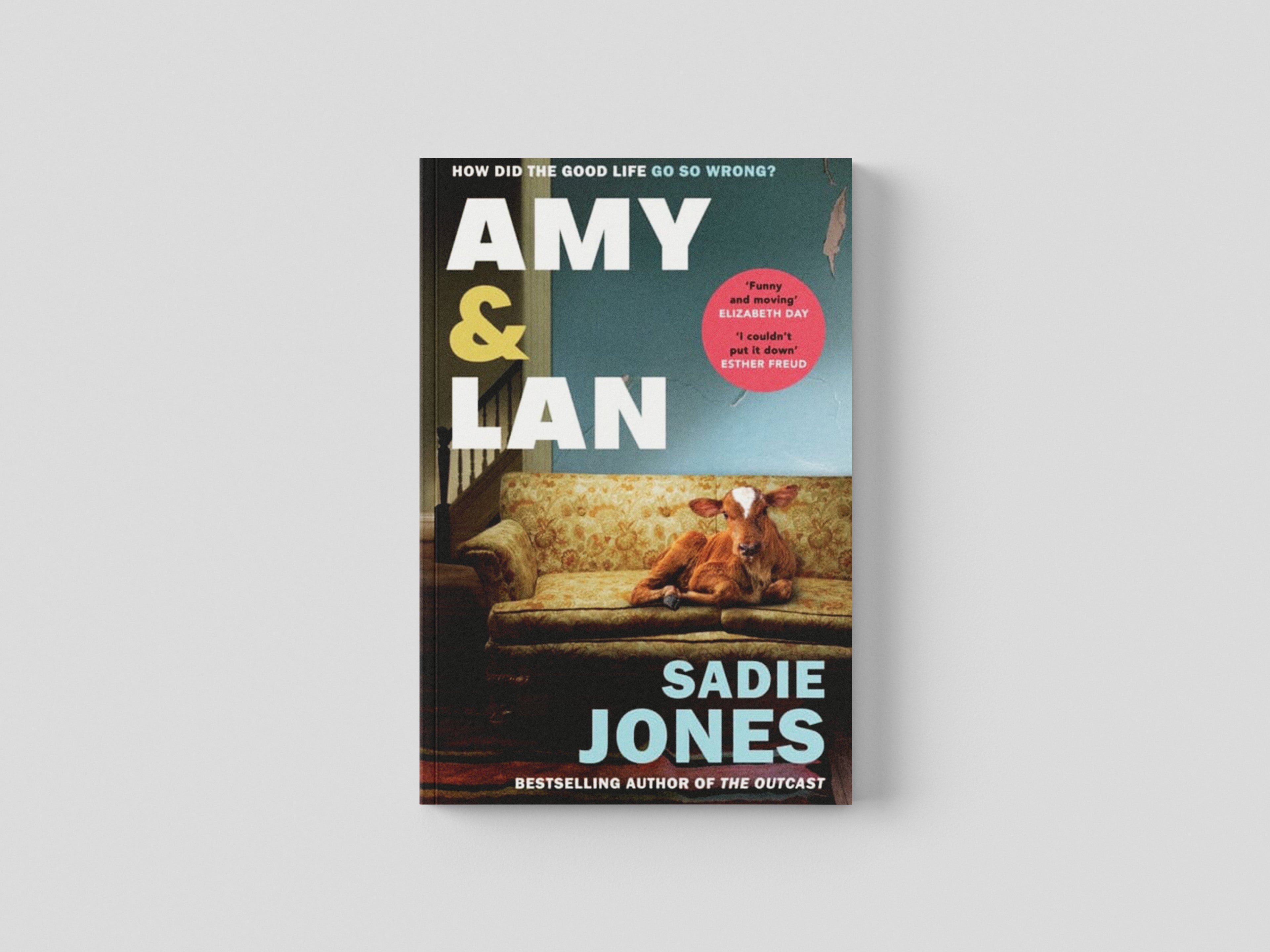 Amy and Lan by Sadie Jones; 9781529116175