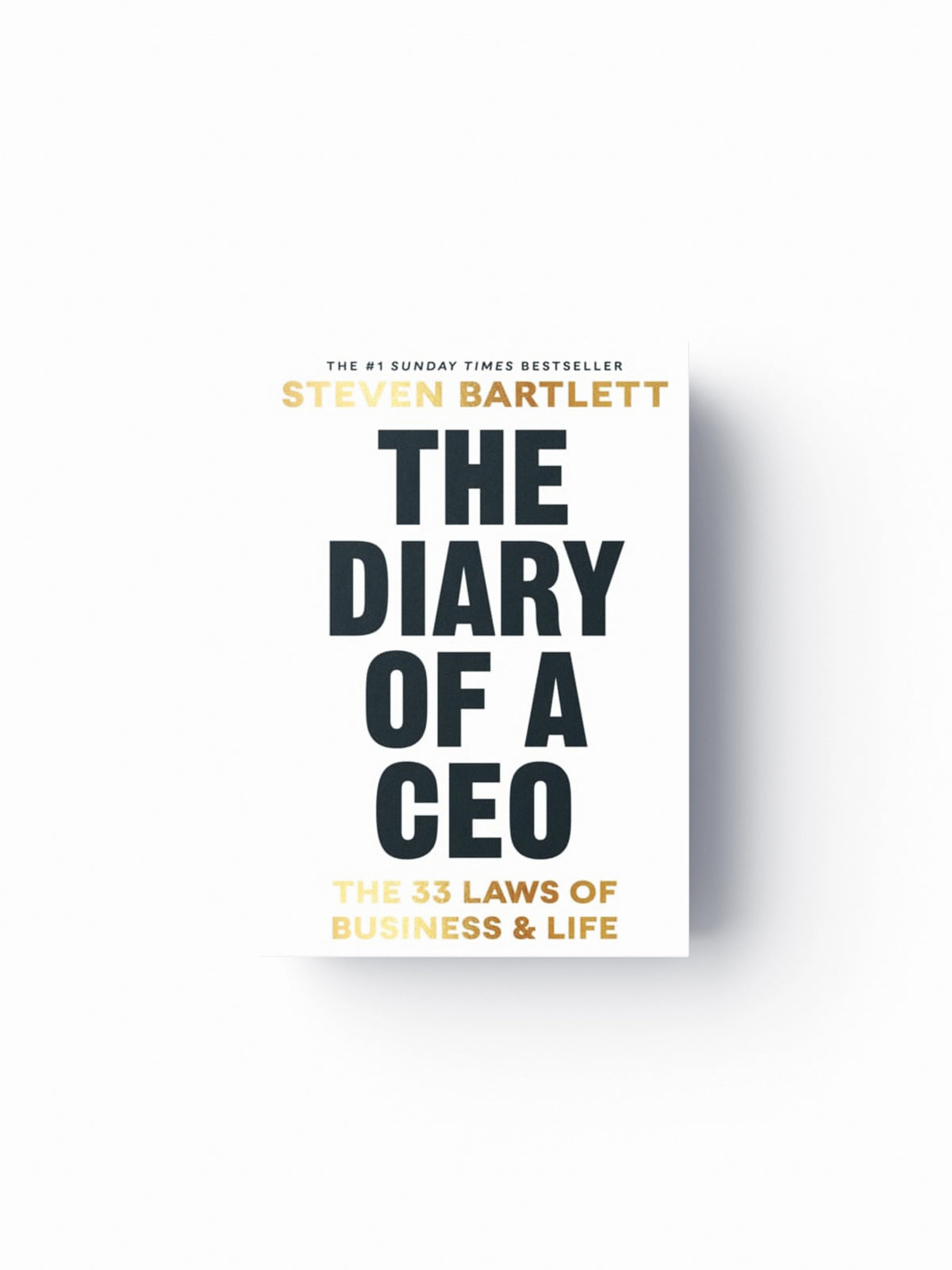 The Diary of a CEO
