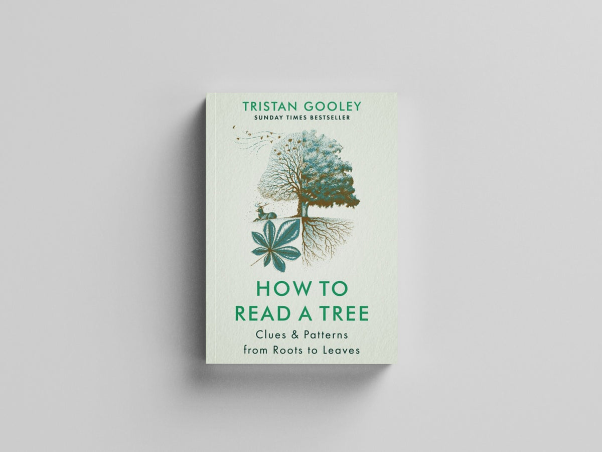 How to Read a Tree by Hodder & Stoughton; 9781529339598