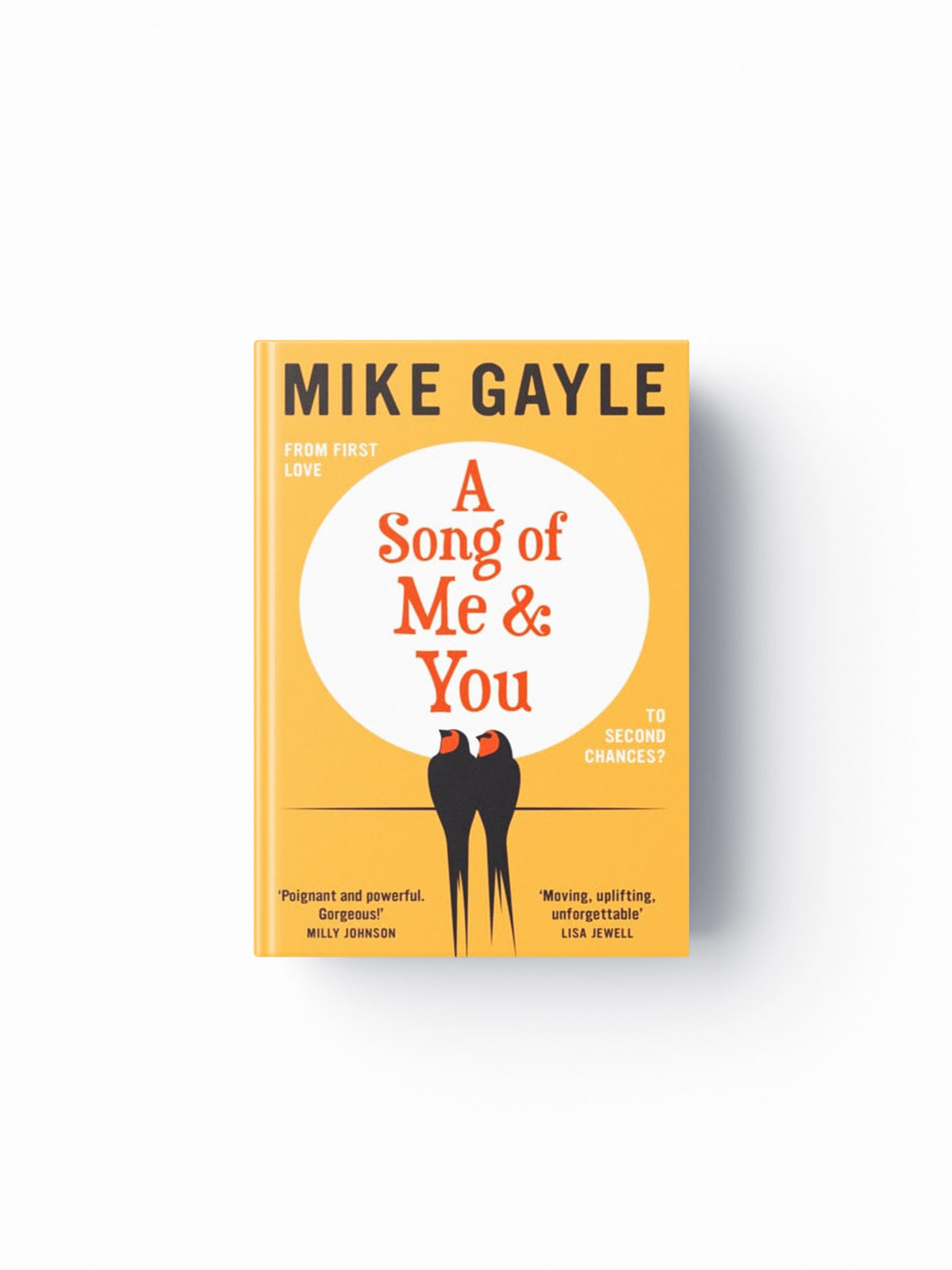 A Song of Me and You