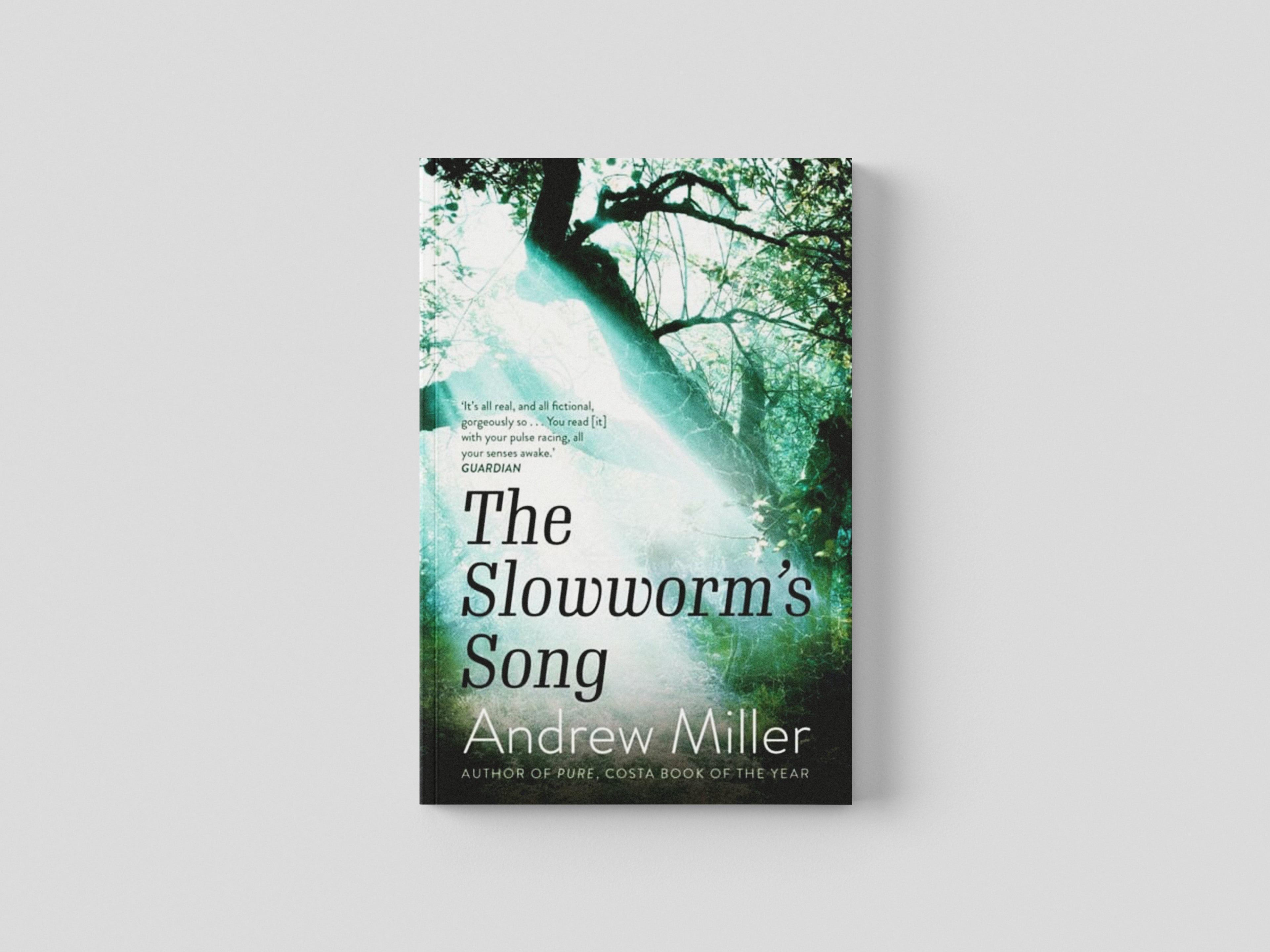 The Slowworm's Song by Hodder & Stoughton; 9781529354232