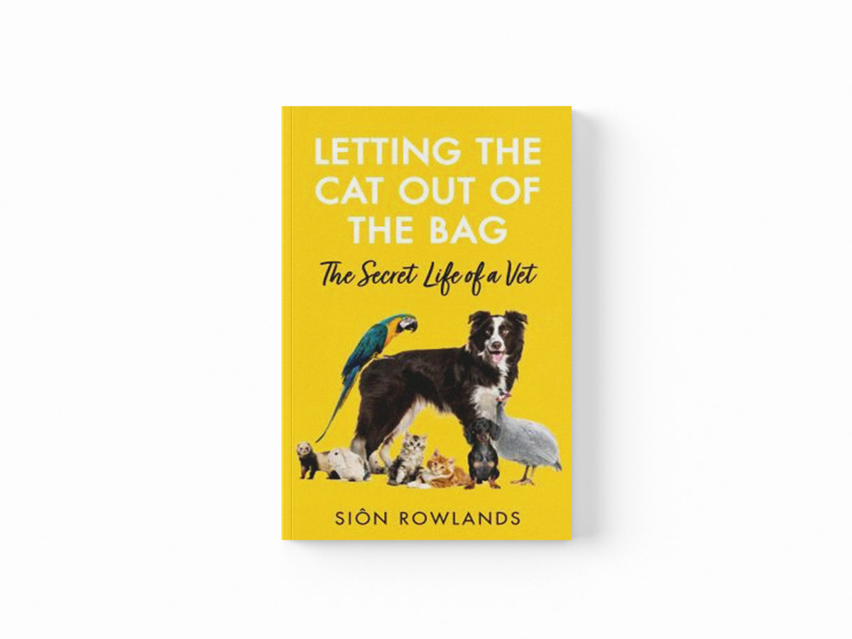 Letting the Cat Out of the Bag by Sion Rowlands; 9781529395235