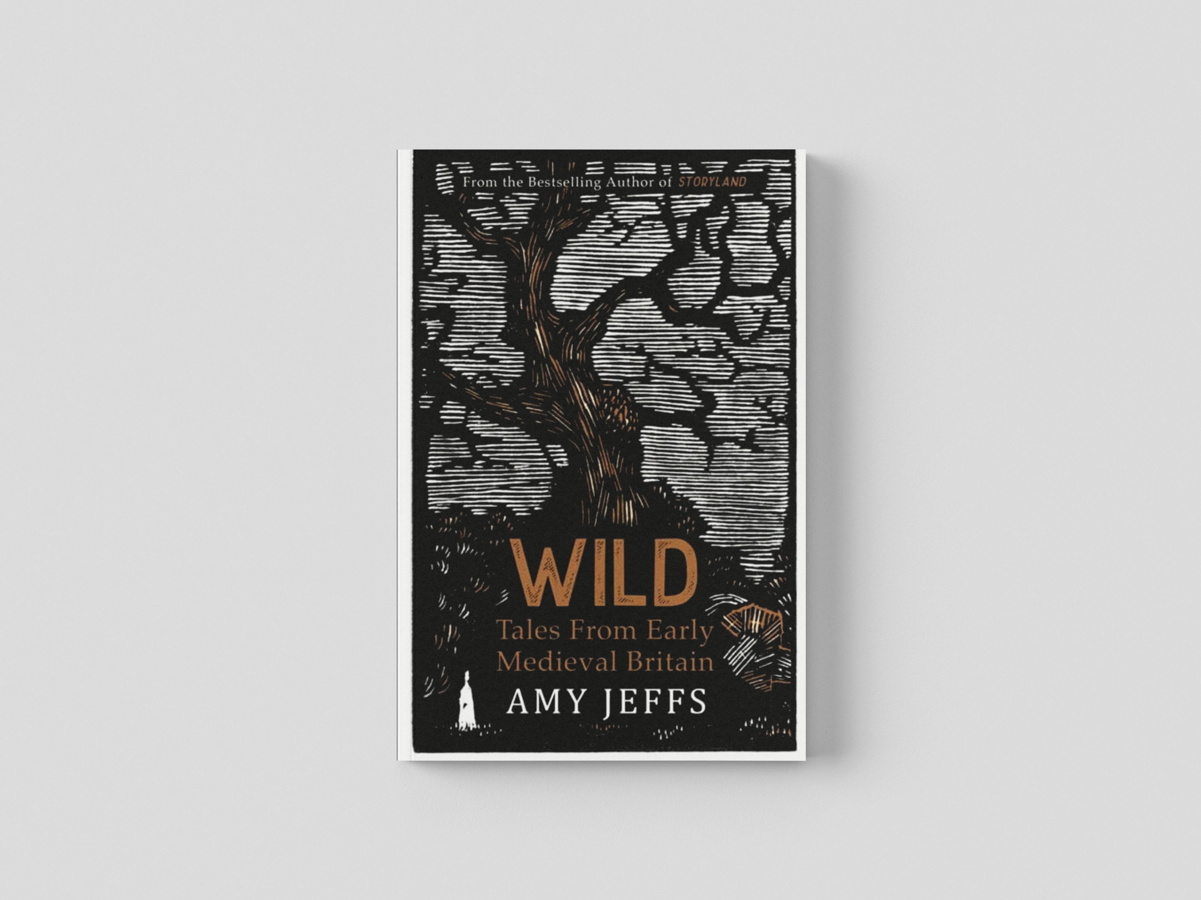 Wild by Amy Jeffs; 9781529424263
