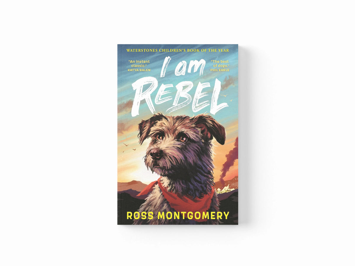 I Am Rebel by Ross Montgomery; 9781529502909