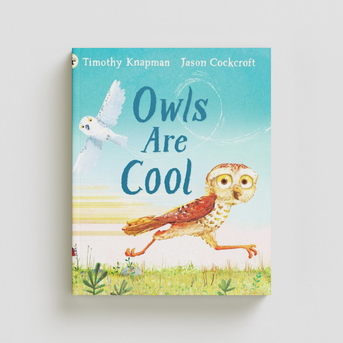 Owls Are Cool by Walker Books Ltd; 9781529510959