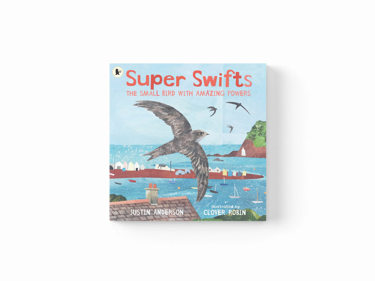 Super Swifts: The Small Bird With Amazing Powers by Justin Anderson; 9781529523690