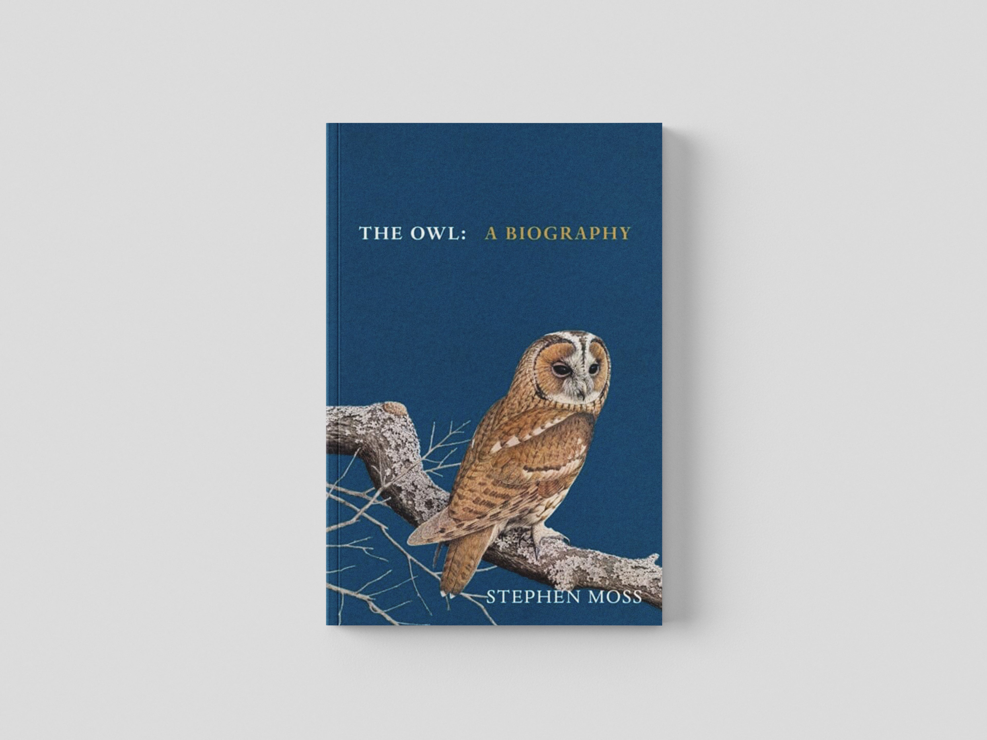 The Owl by Stephen Moss; 9781529908268