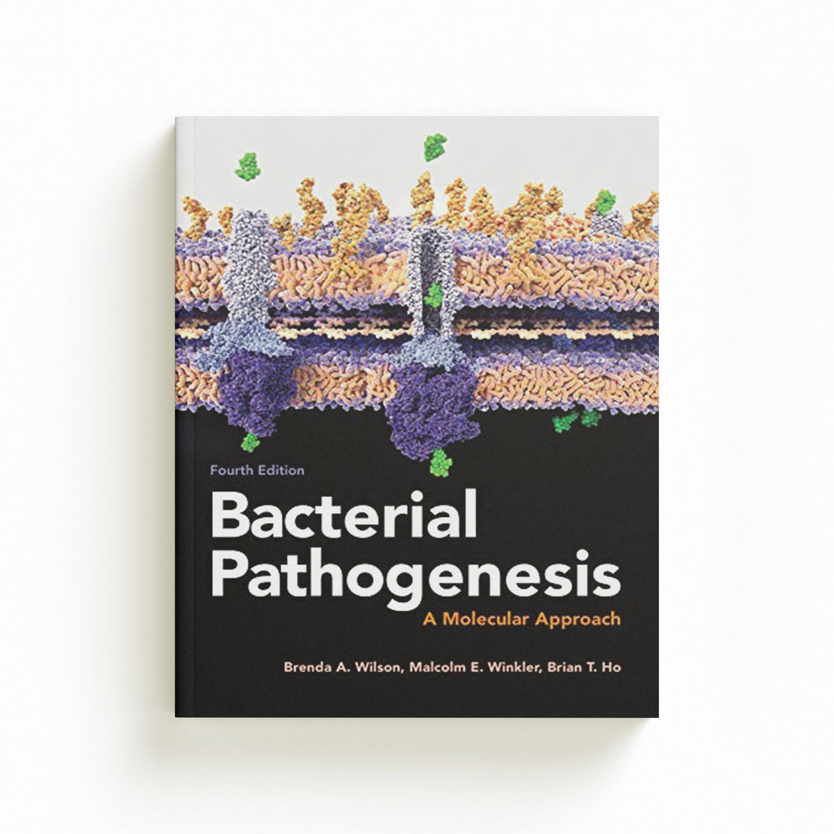 Bacterial Pathogenesis by Brenda A.  Wilson; Malcolm  Winkler; Brian T.  Ho; 9781555819408