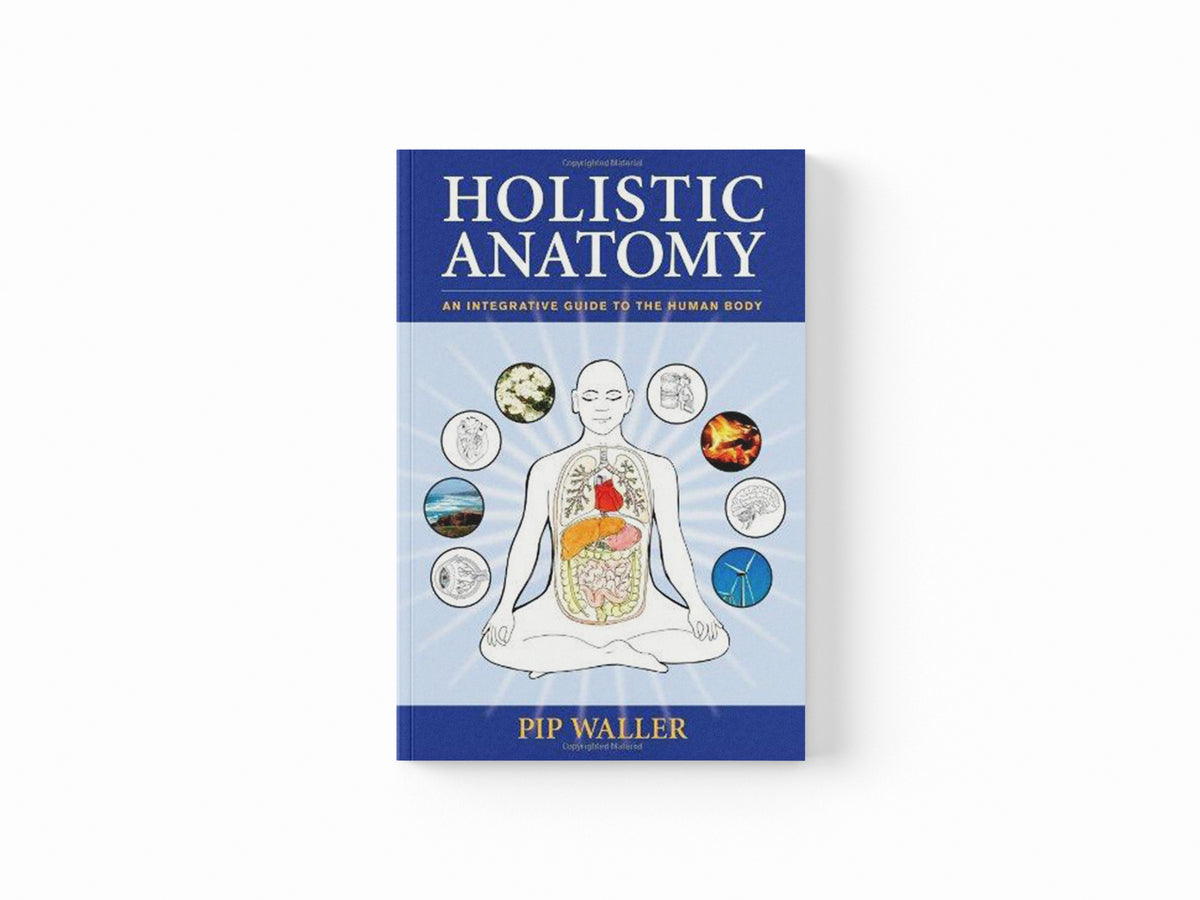 Holistic Anatomy by Pip Waller; 9781556438653