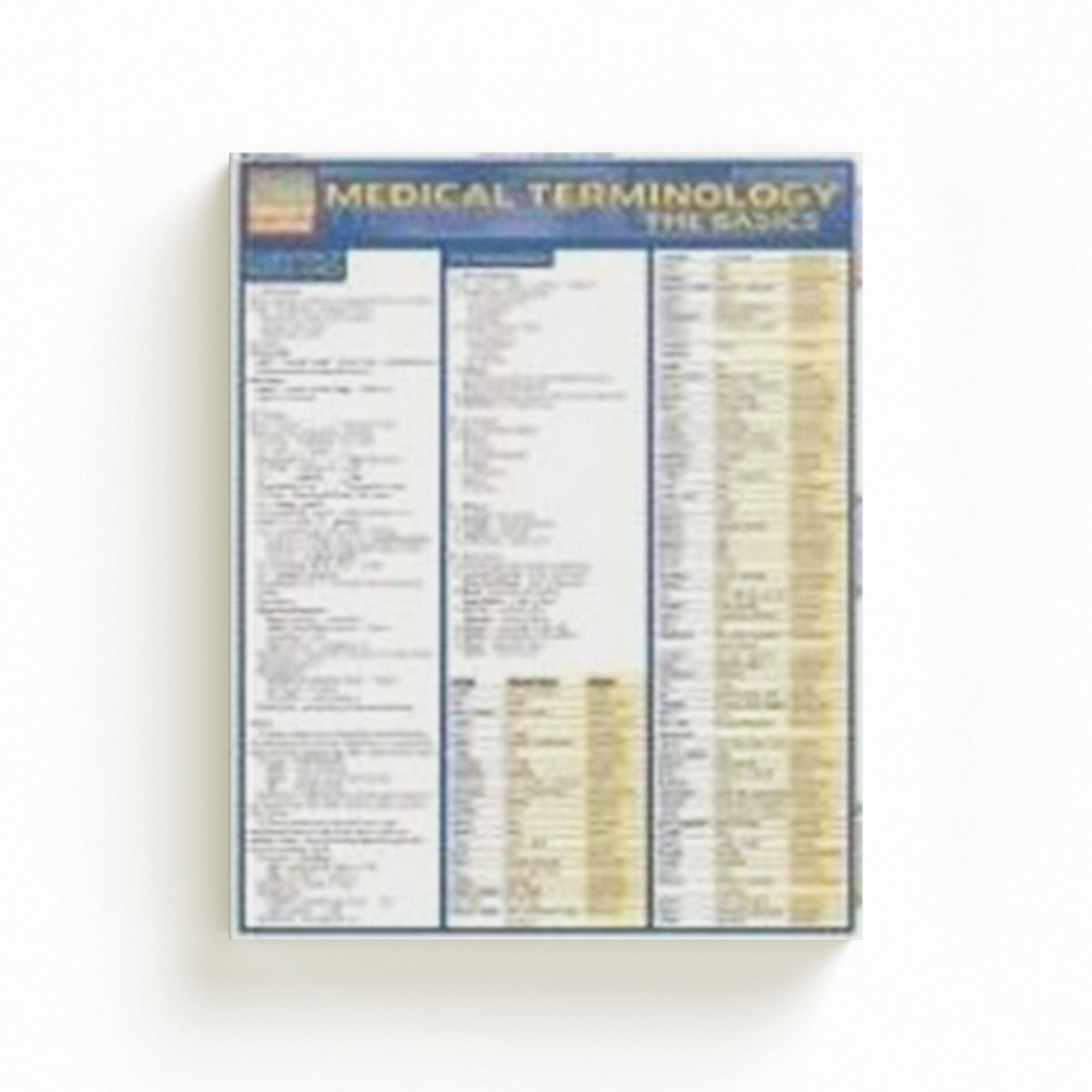 Medical Terminology: The Basics by Corinne Linton; 9781572225381