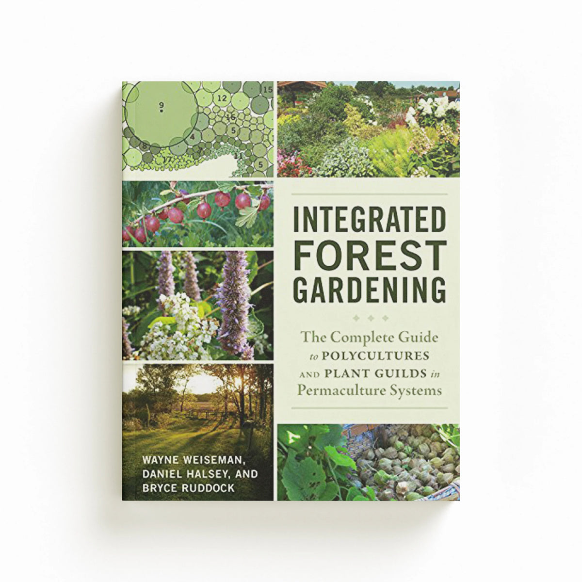 Integrated Forest Gardening by Bryce Ruddock; Wayne Weiseman; Daniel Halsey; 9781603584975