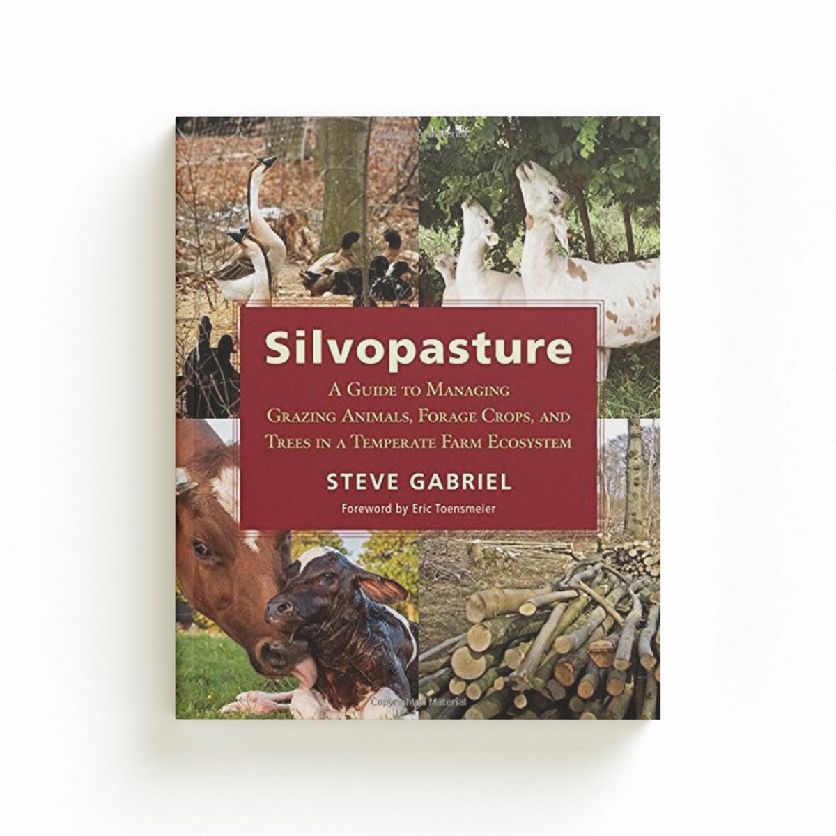Silvopasture by Steve Gabriel; 9781603587310