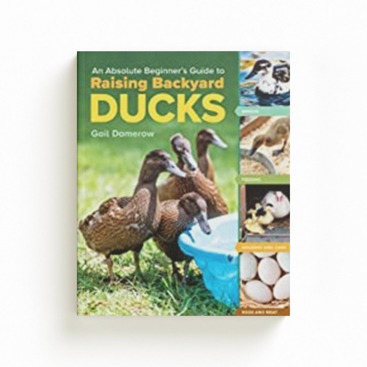 An Absolute Beginner's Guide to Raising Backyard Ducks by Gail Damerow; 9781635865295