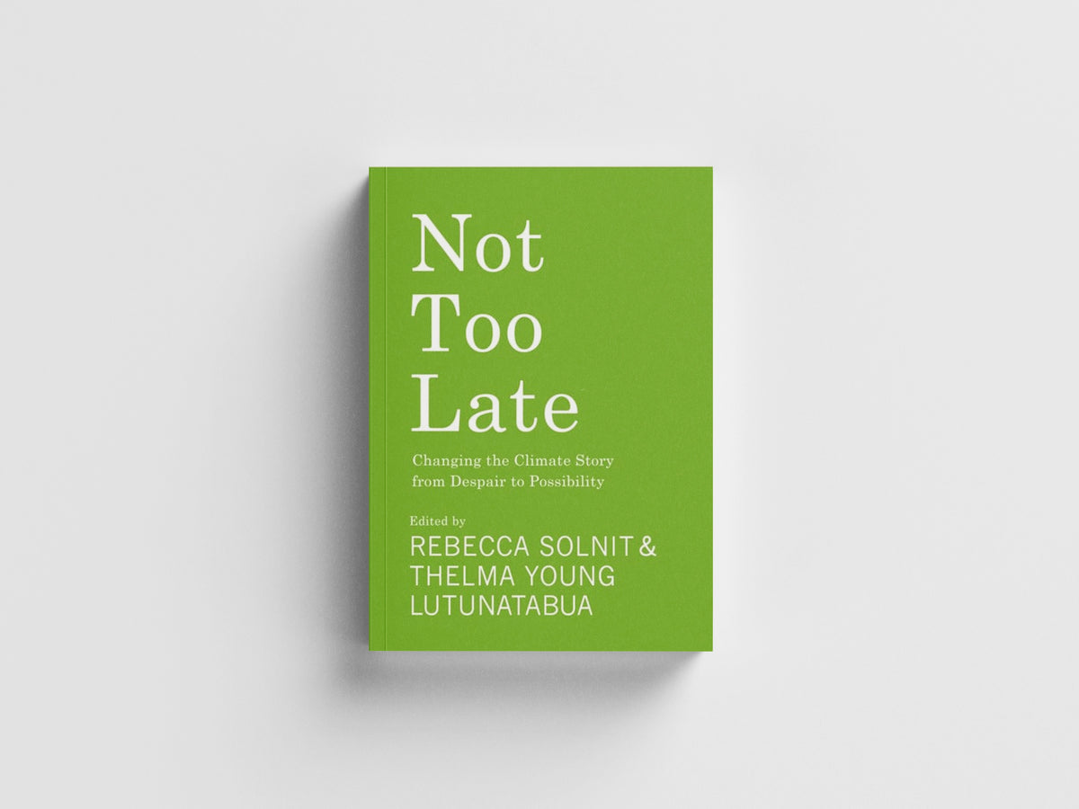 Not Too Late : Changing the Climate Story from Despair to Possibility
