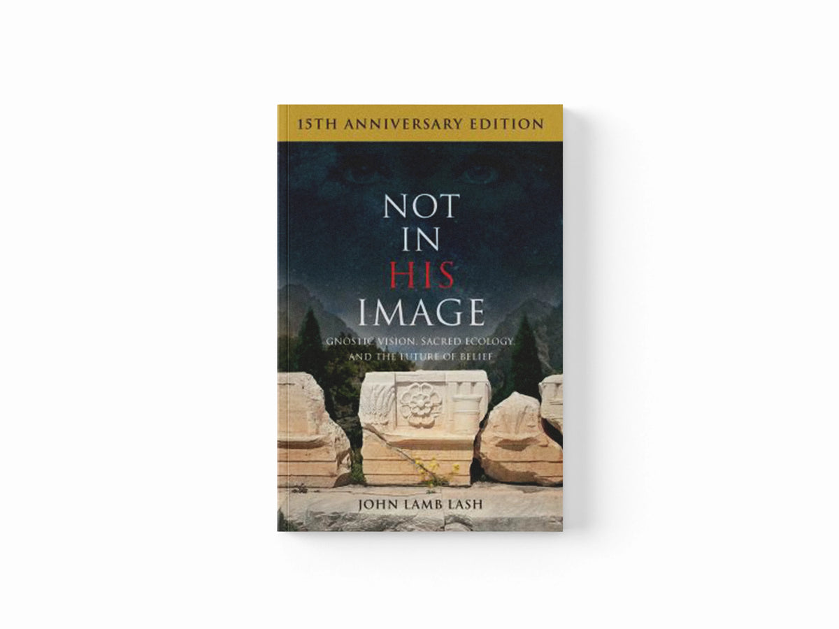 Not in His Image (15th Anniversary Edition) by John Lamb Lash; 9781645021360