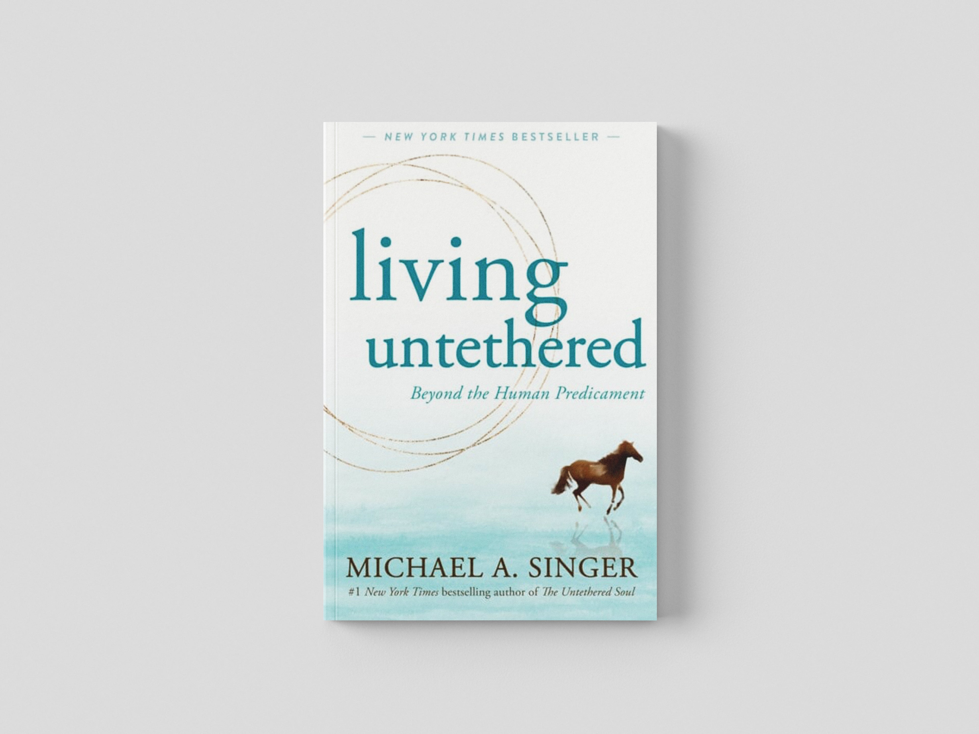 Living Untethered by New Harbinger Publications; 9781648480935